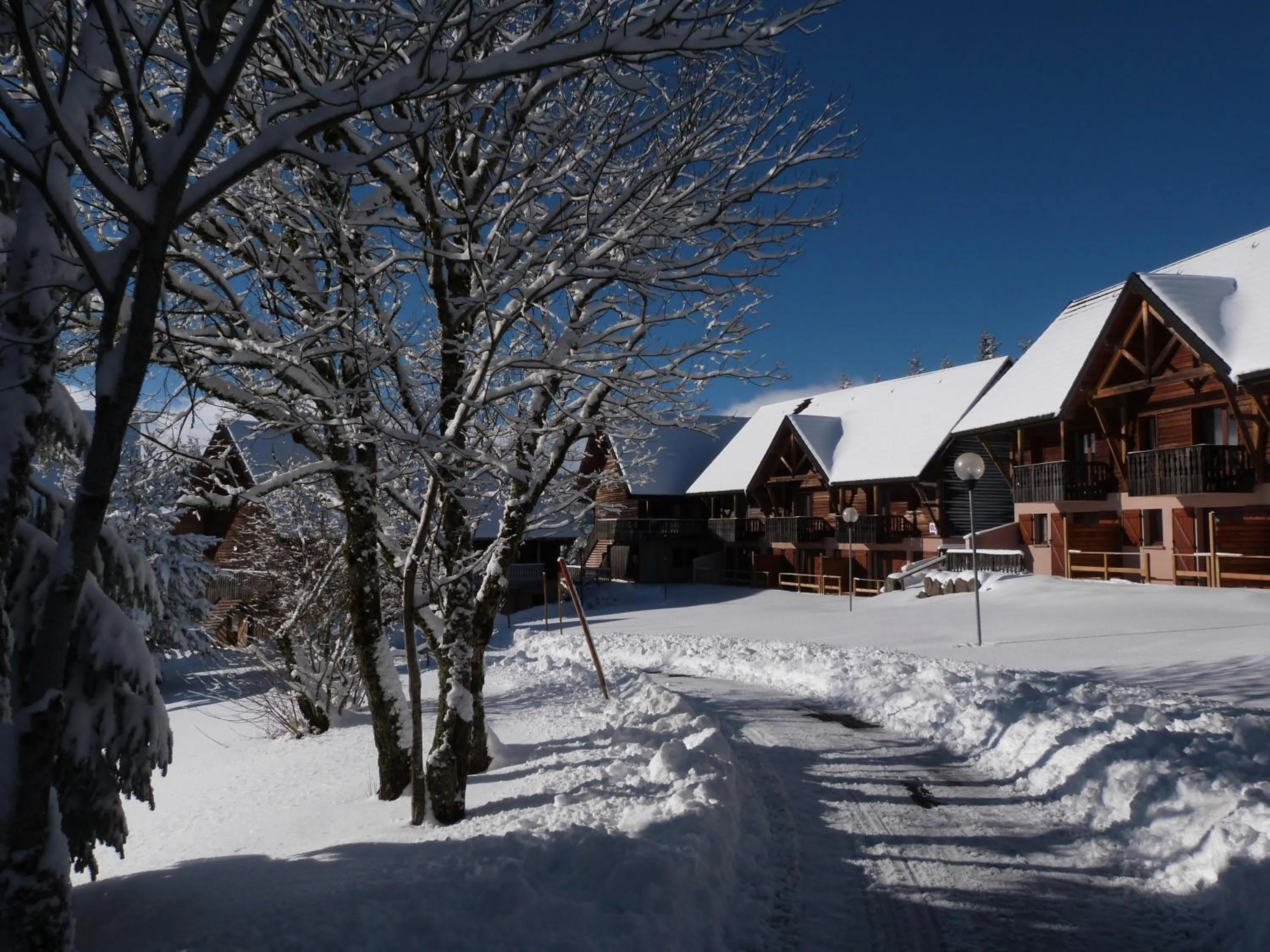 Résidence Le Bois de la Reine