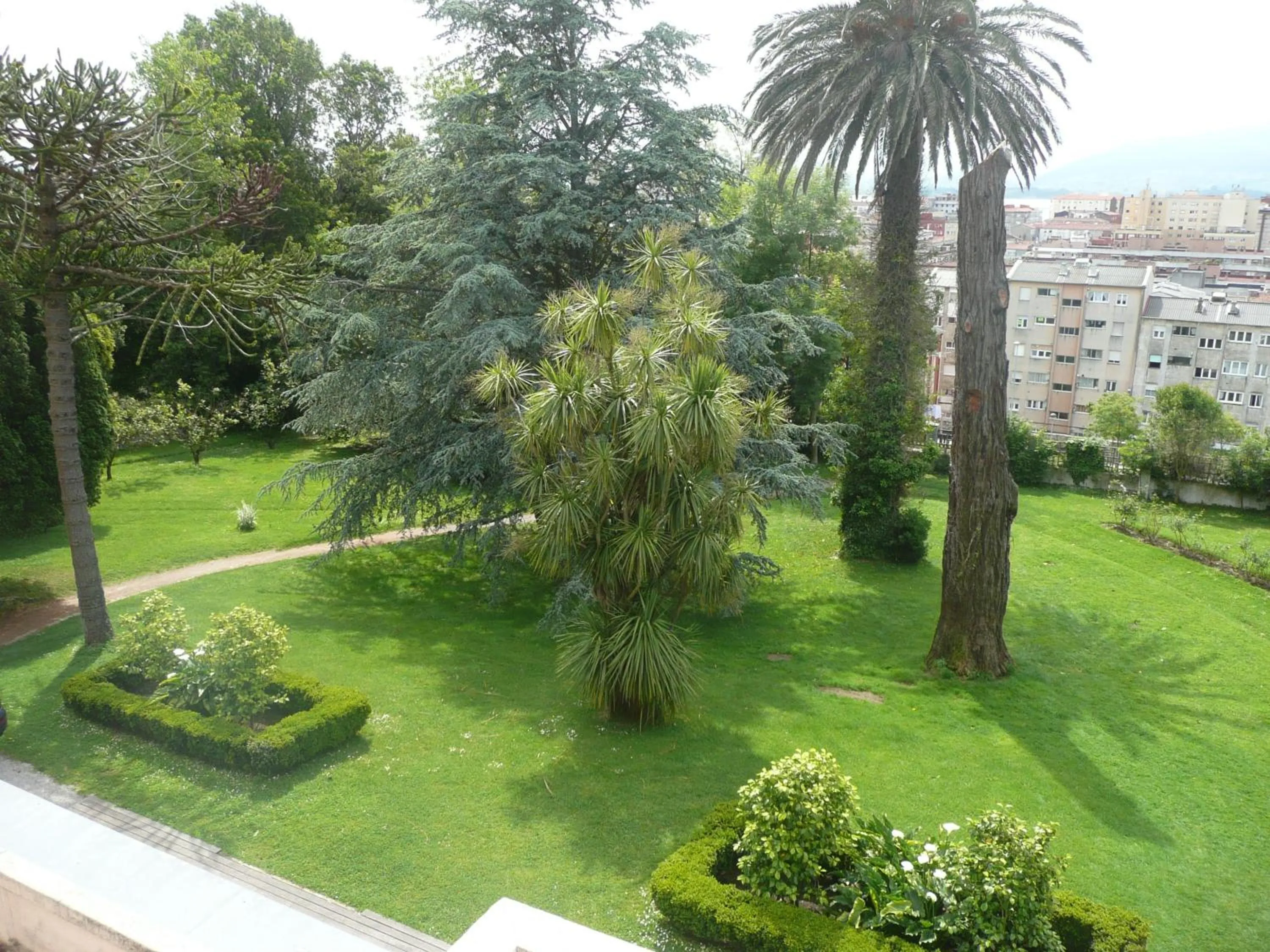 Garden in Las Carolinas Garden