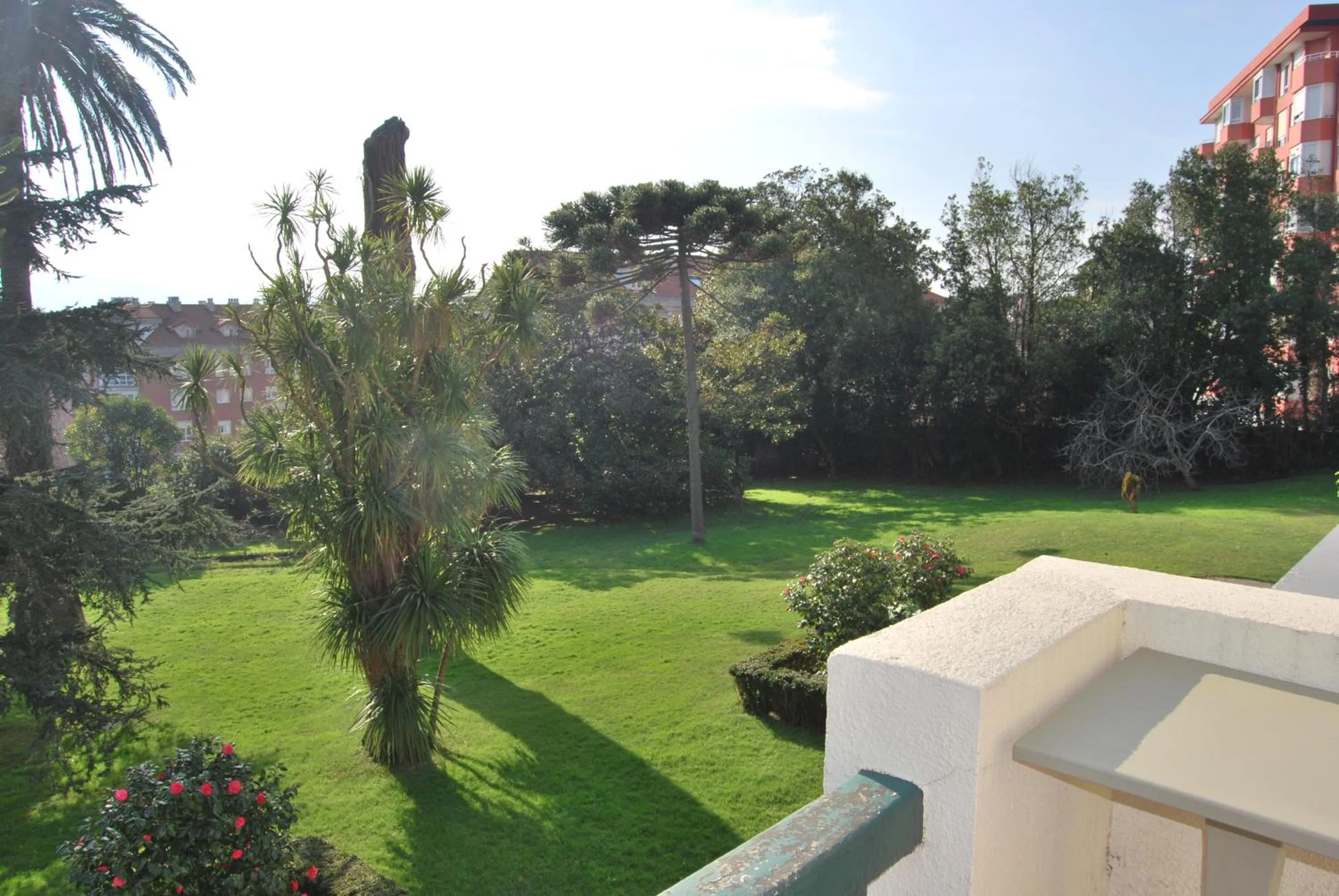 Garden in Las Carolinas Garden