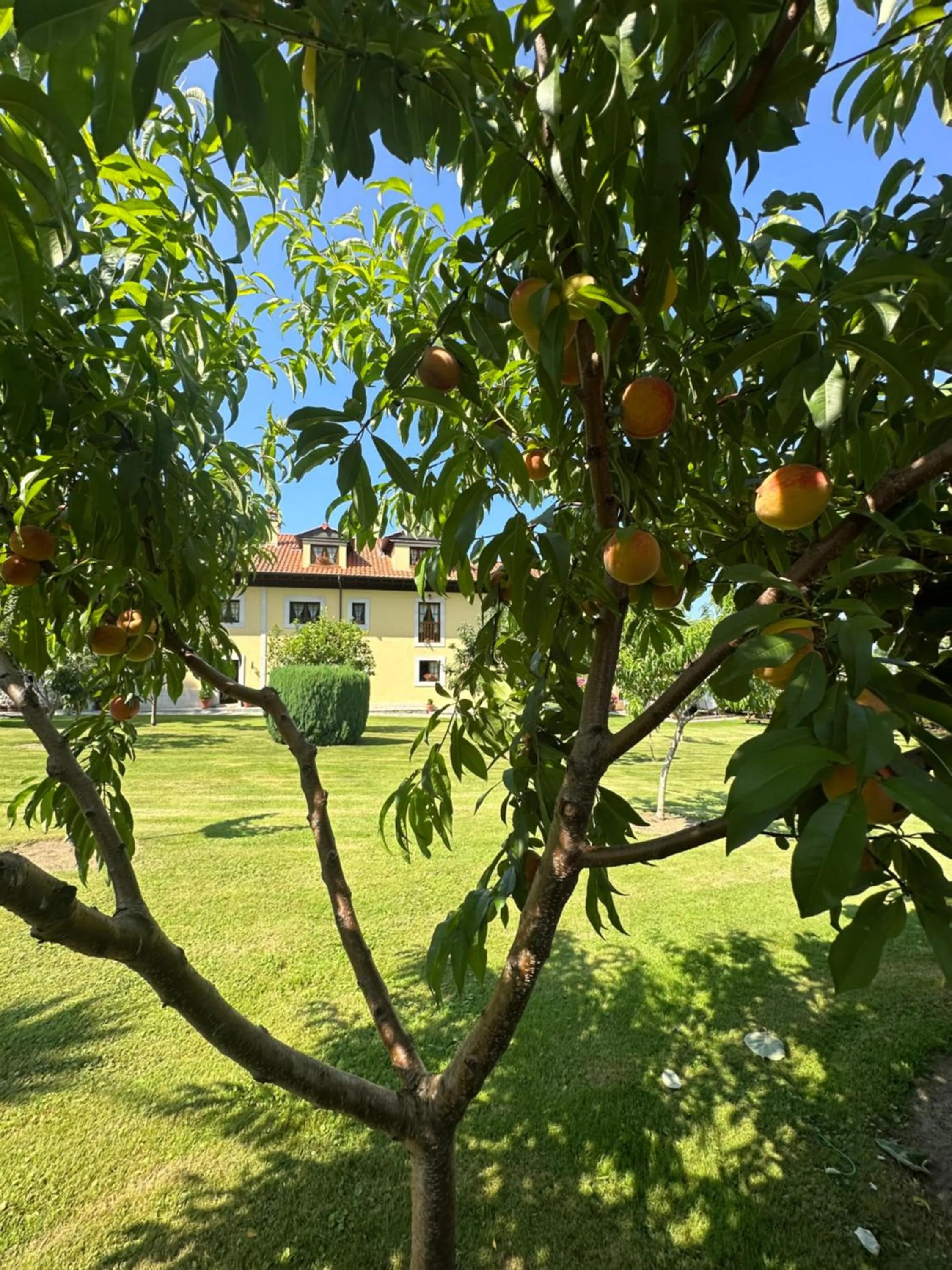 Garden view in Casa de Aldea El Frade