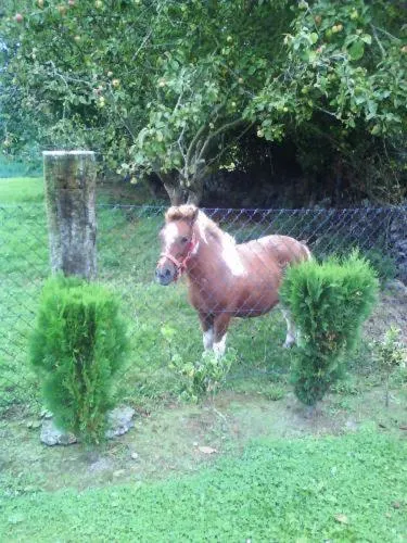 Garden in Casa de Aldea El Frade