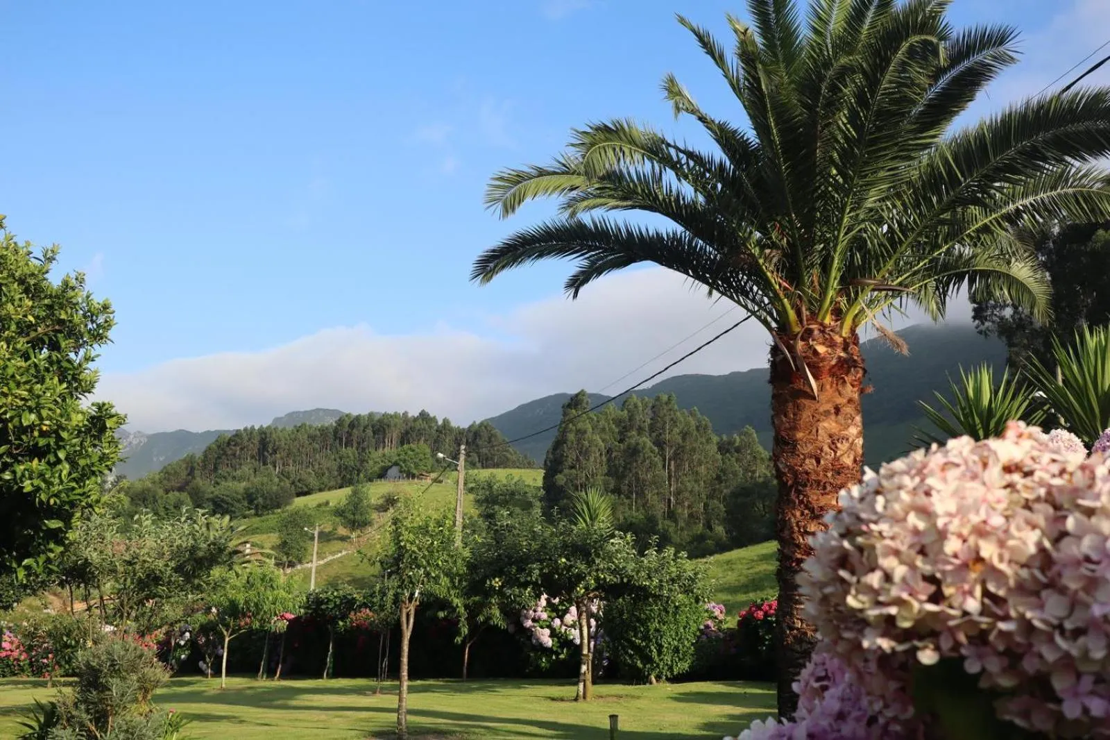 Garden in Casa de Aldea El Frade