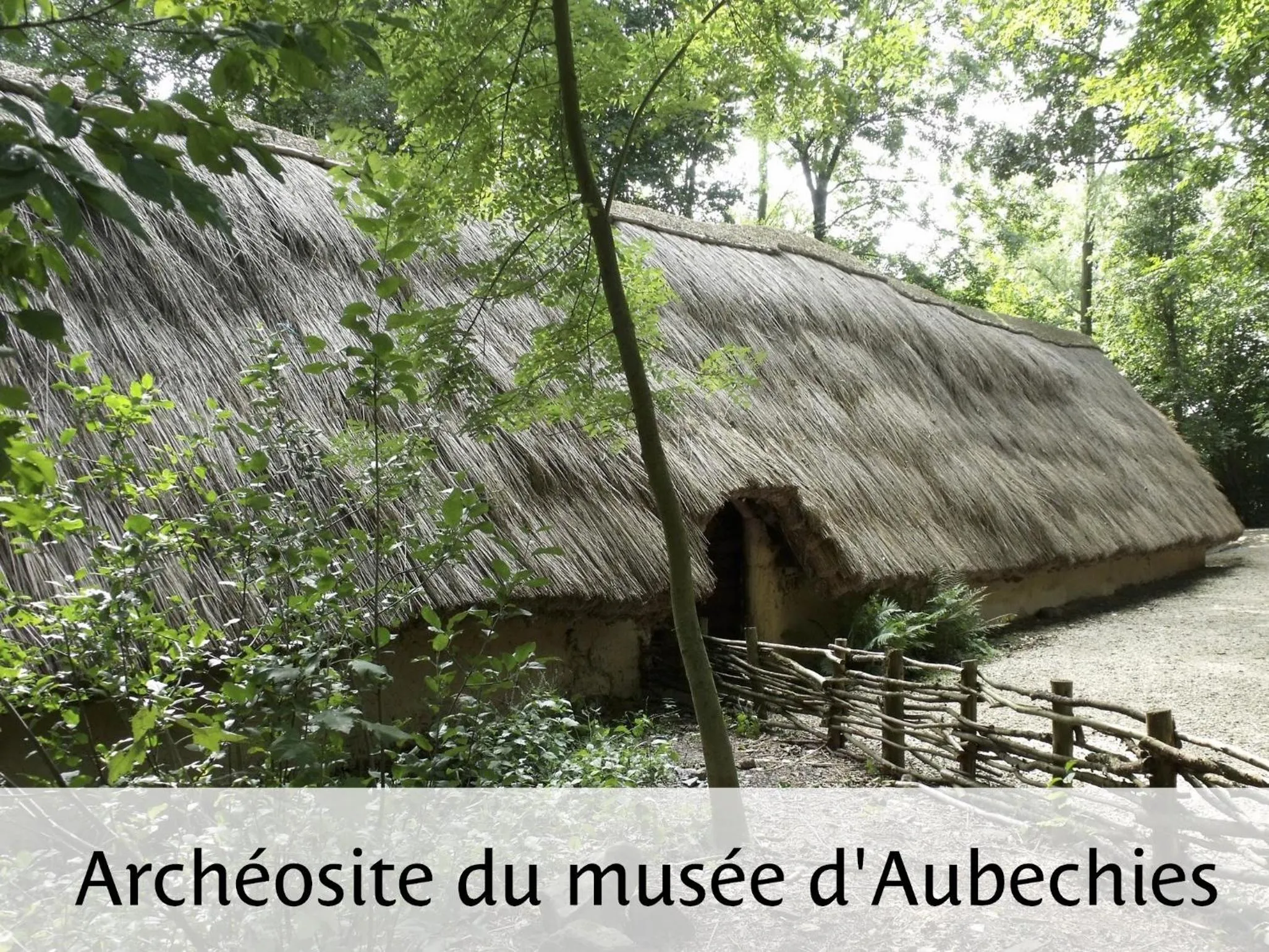 Activities in Hotel-Restaurant Horizon Ath-Lessines