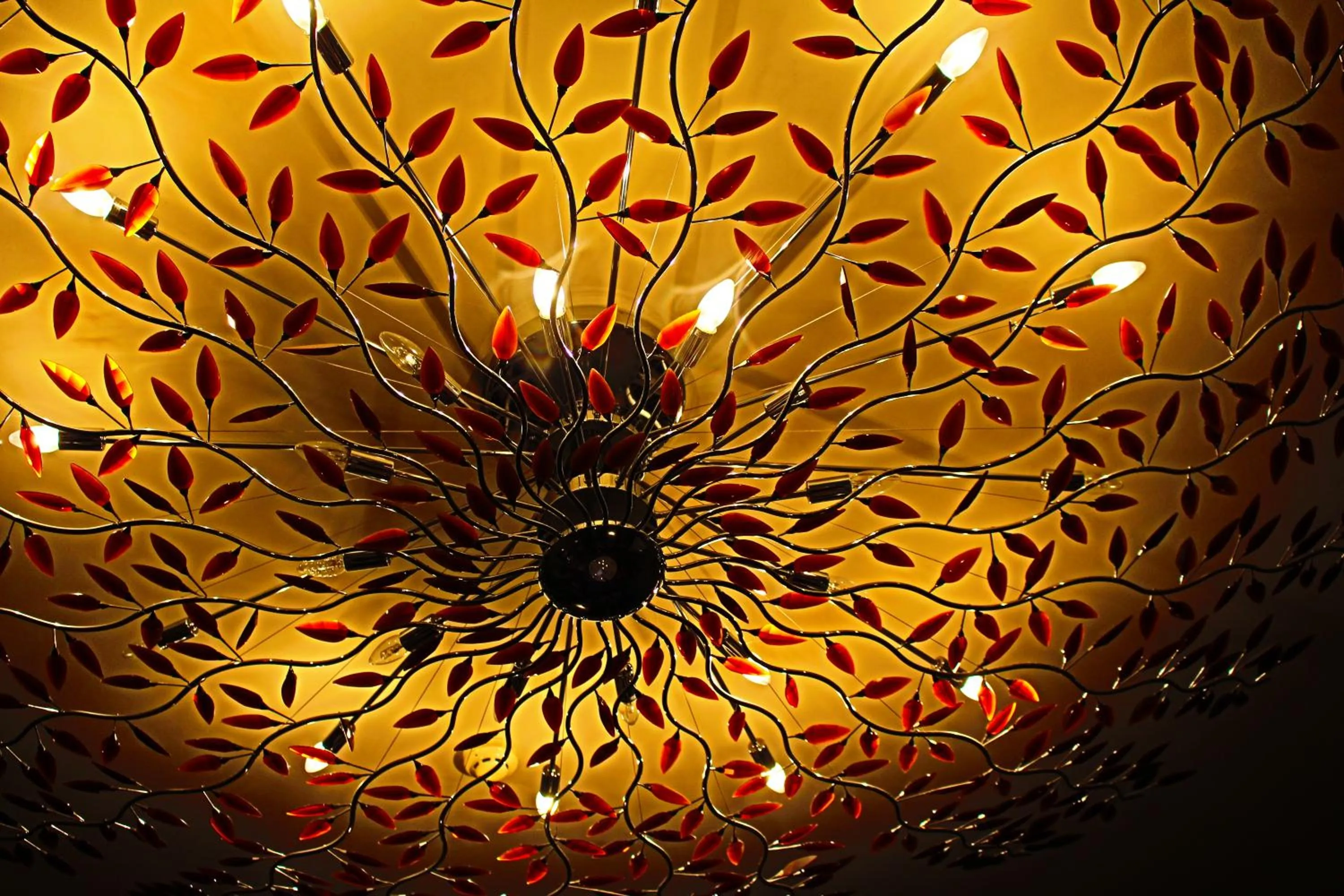 Restaurant/places to eat in Amaryllis Hotel Veurne