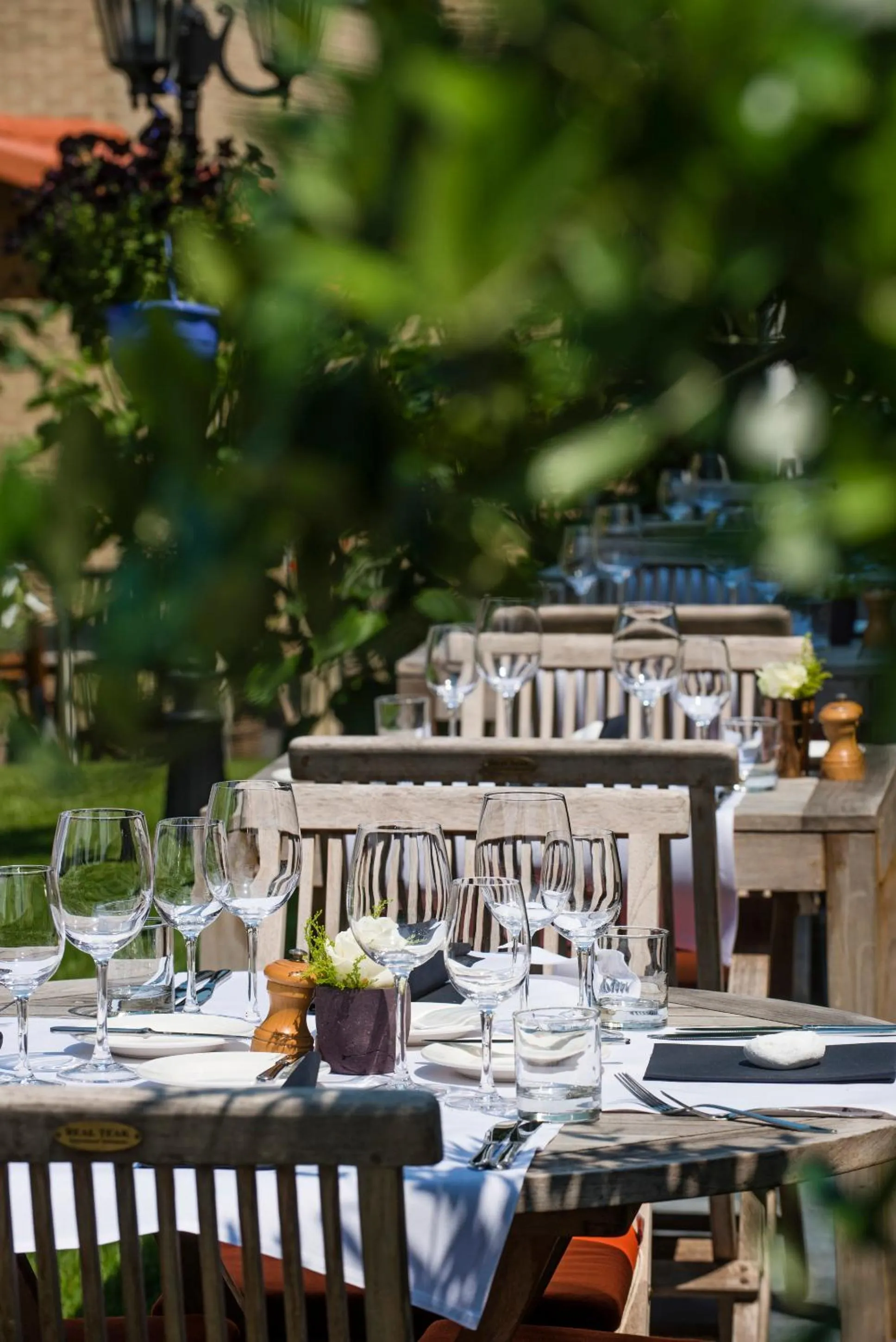 Garden in Parkhotel Gent Centrum