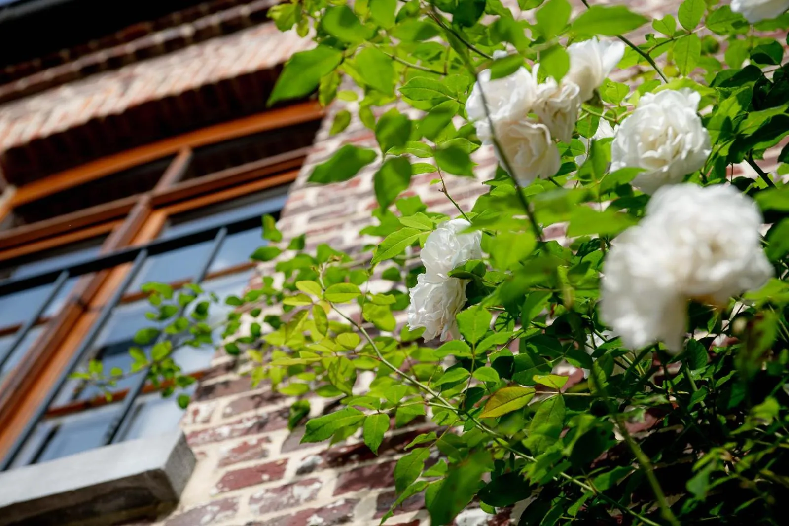 Garden in Hostellerie De Biek
