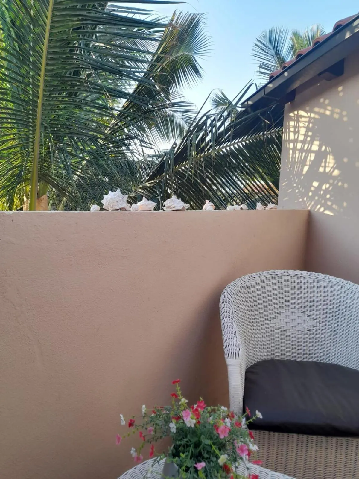 Garden in Porto Antigo Holidays