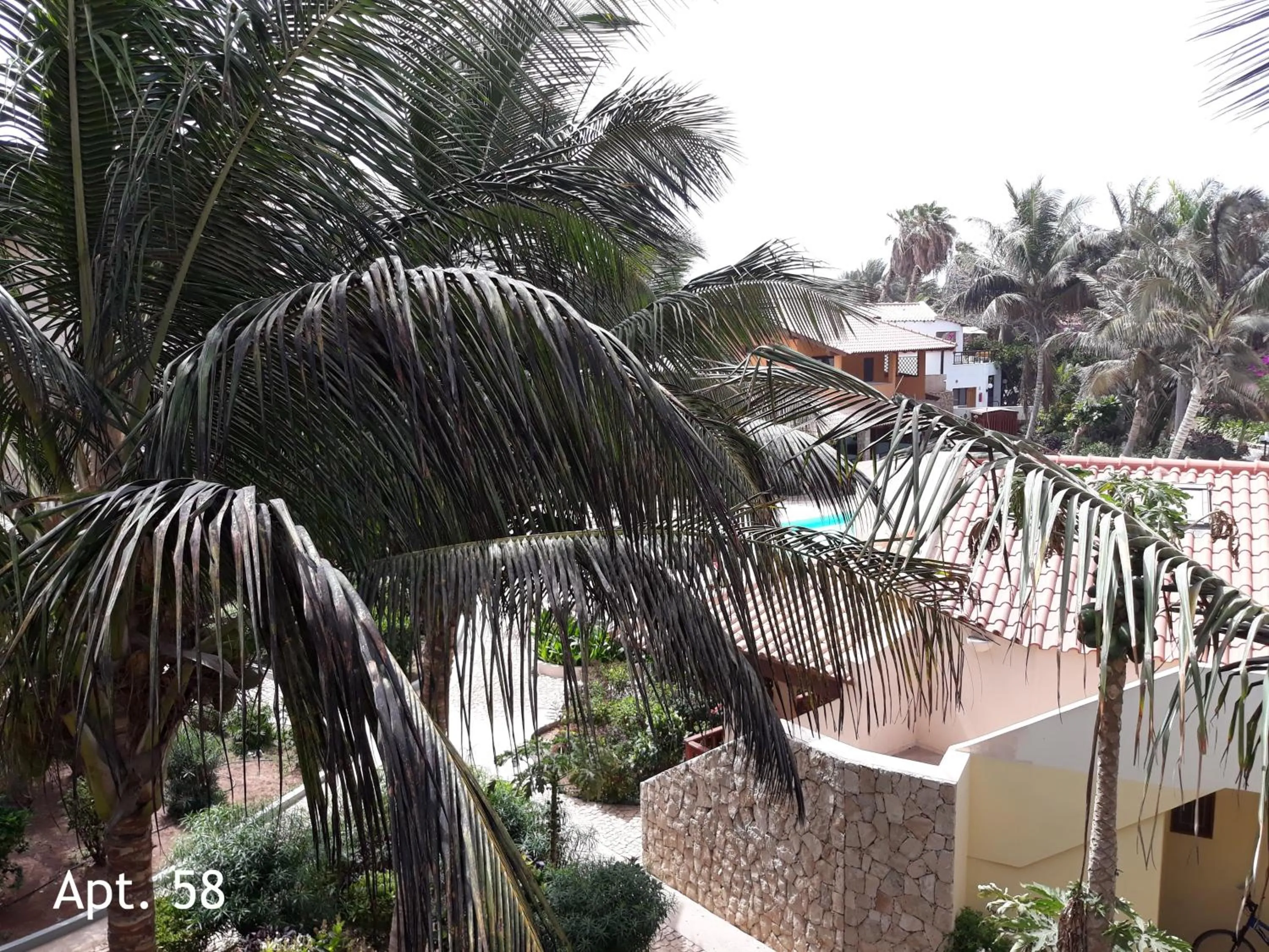 Garden in Porto Antigo Holidays