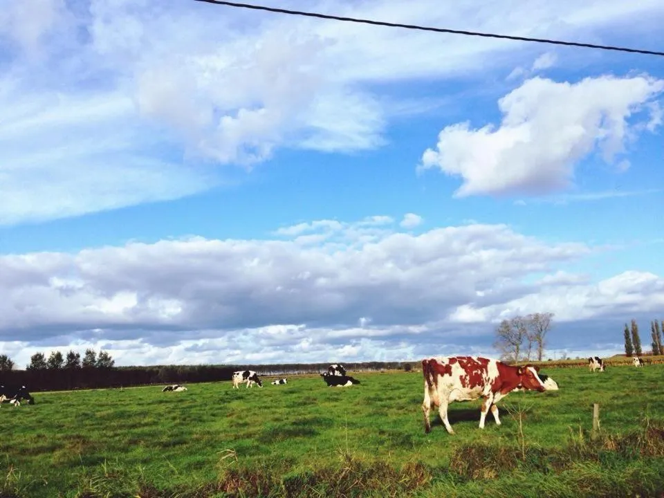 Area and facilities in Hotel Ter Polders