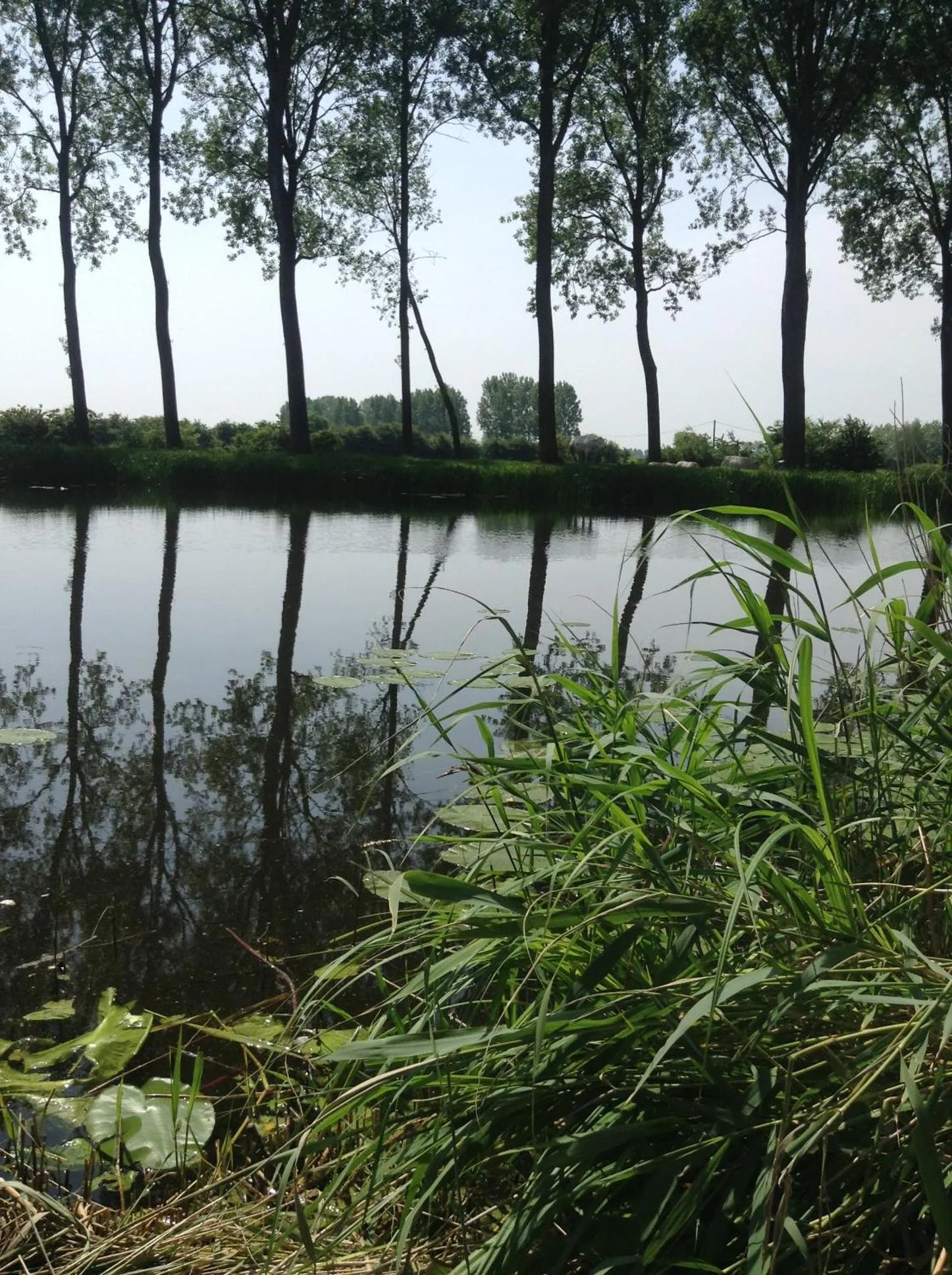 Fishing in Hotel Ter Polders