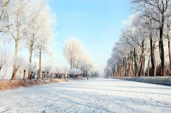 Area and facilities in Hotel Ter Polders