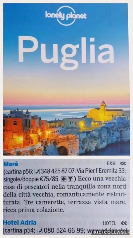 Logo/Certificate/Sign in Mar