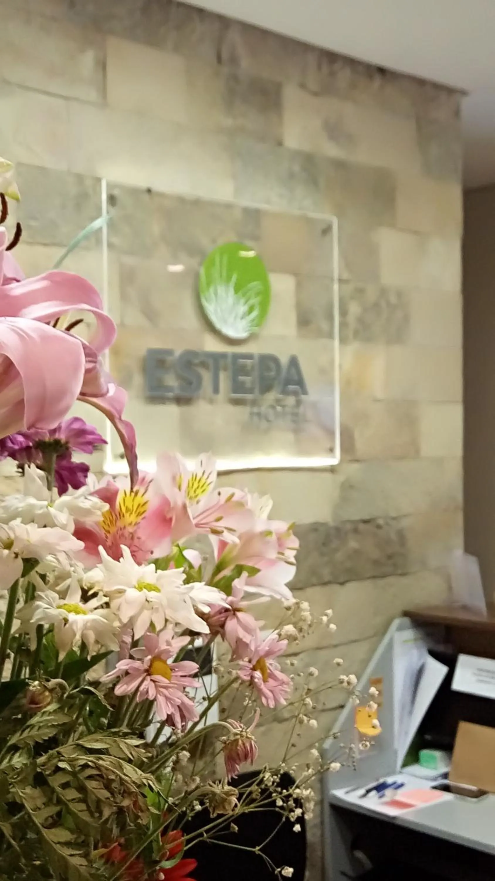 Lobby or reception in Estepa Hotel