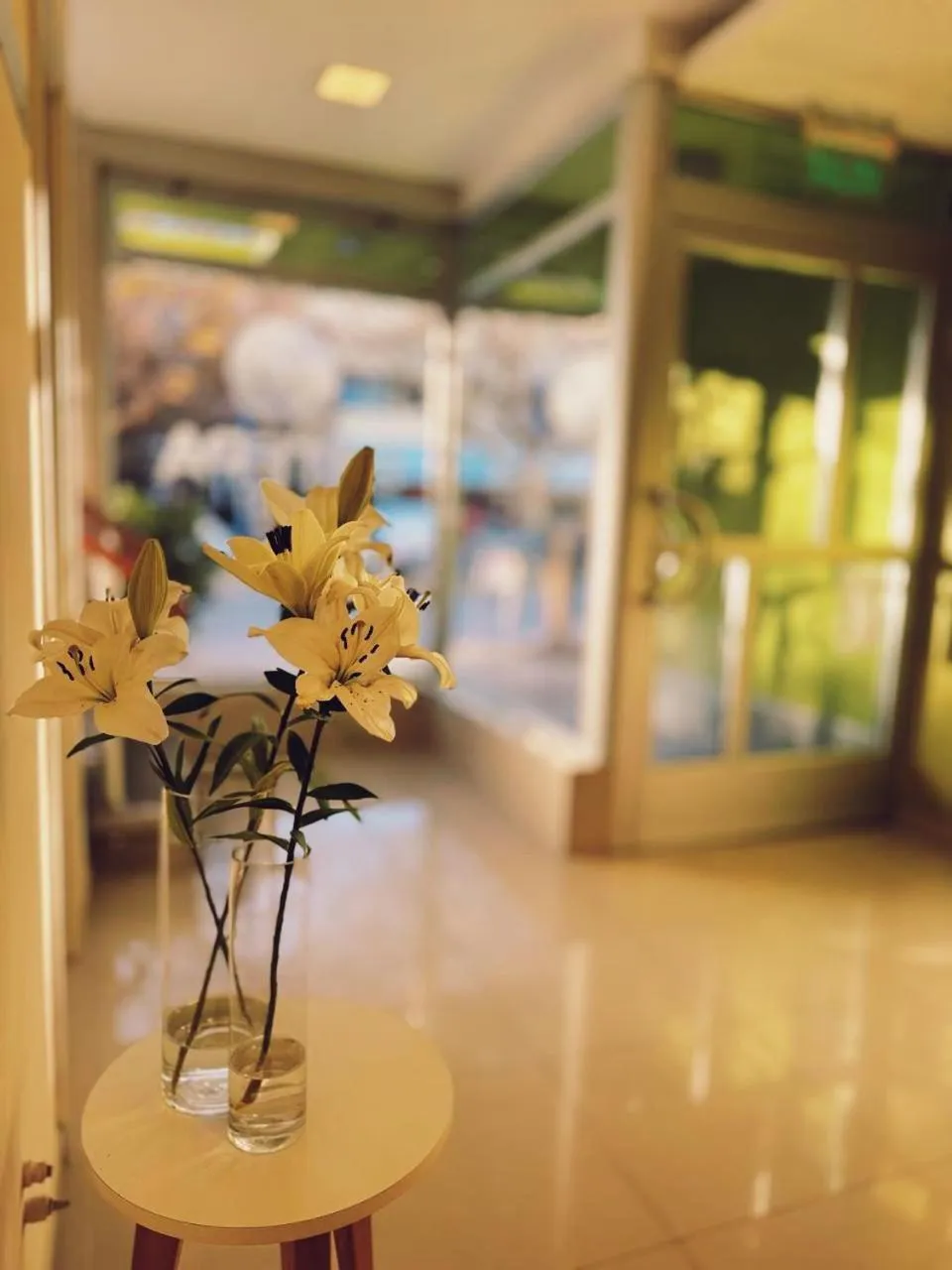 Lobby or reception in Estepa Hotel