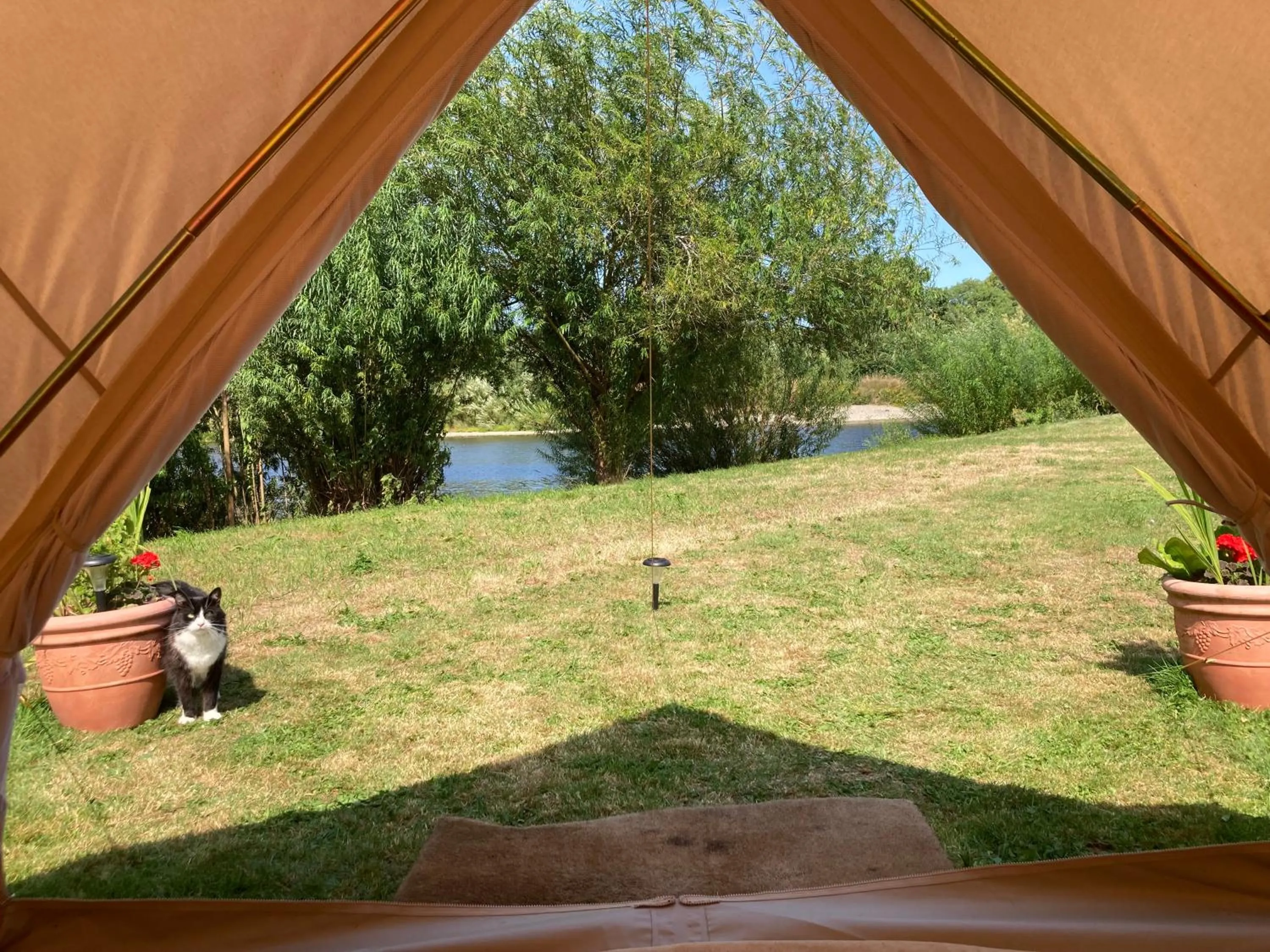 View (from property/room) in Aberllynfi Riverside Guest House