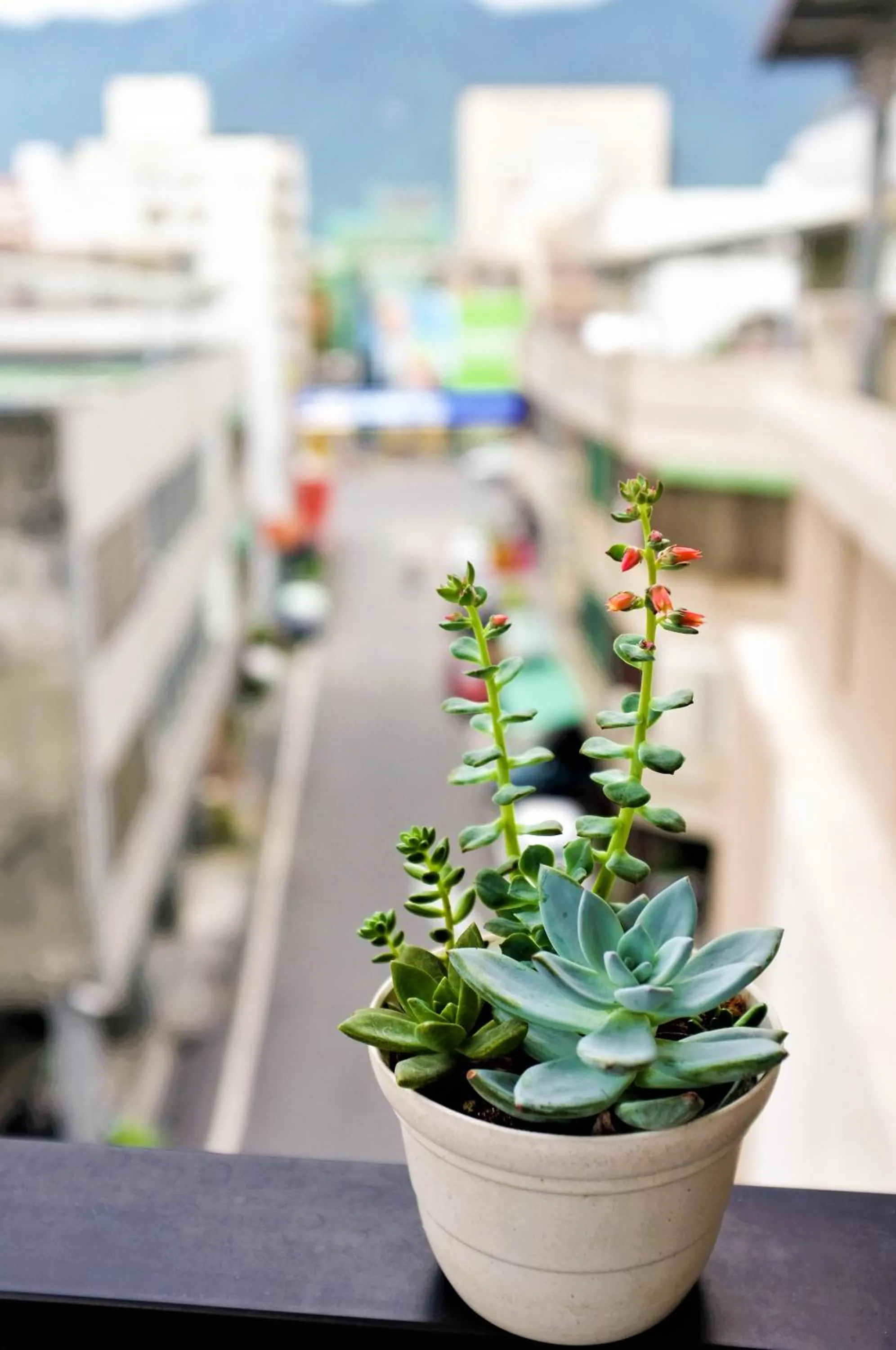 Decorative detail in INg Hostel