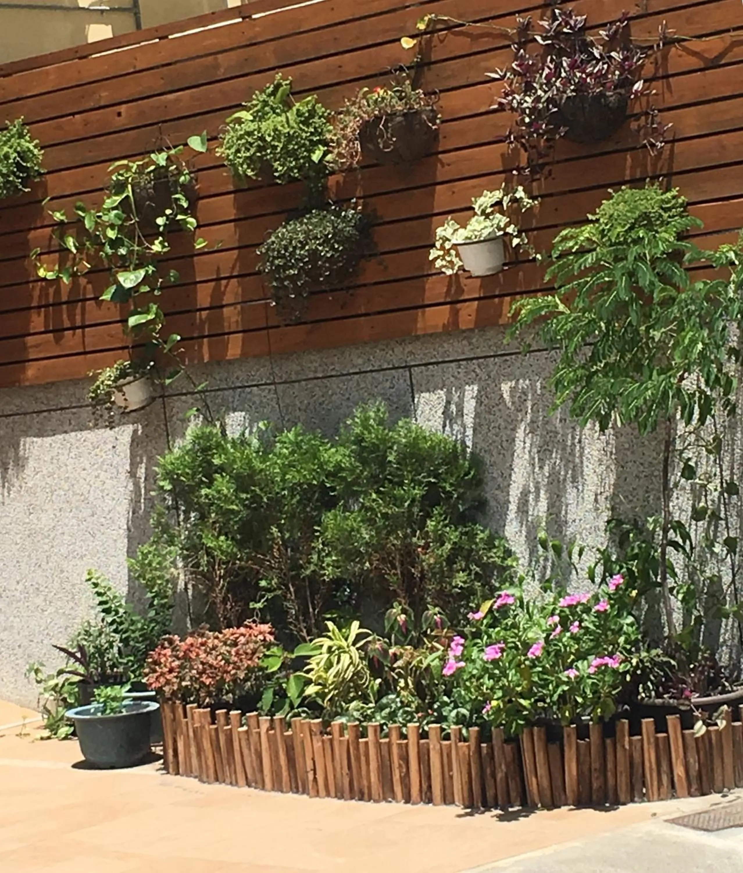 Natural landscape in INg Hostel