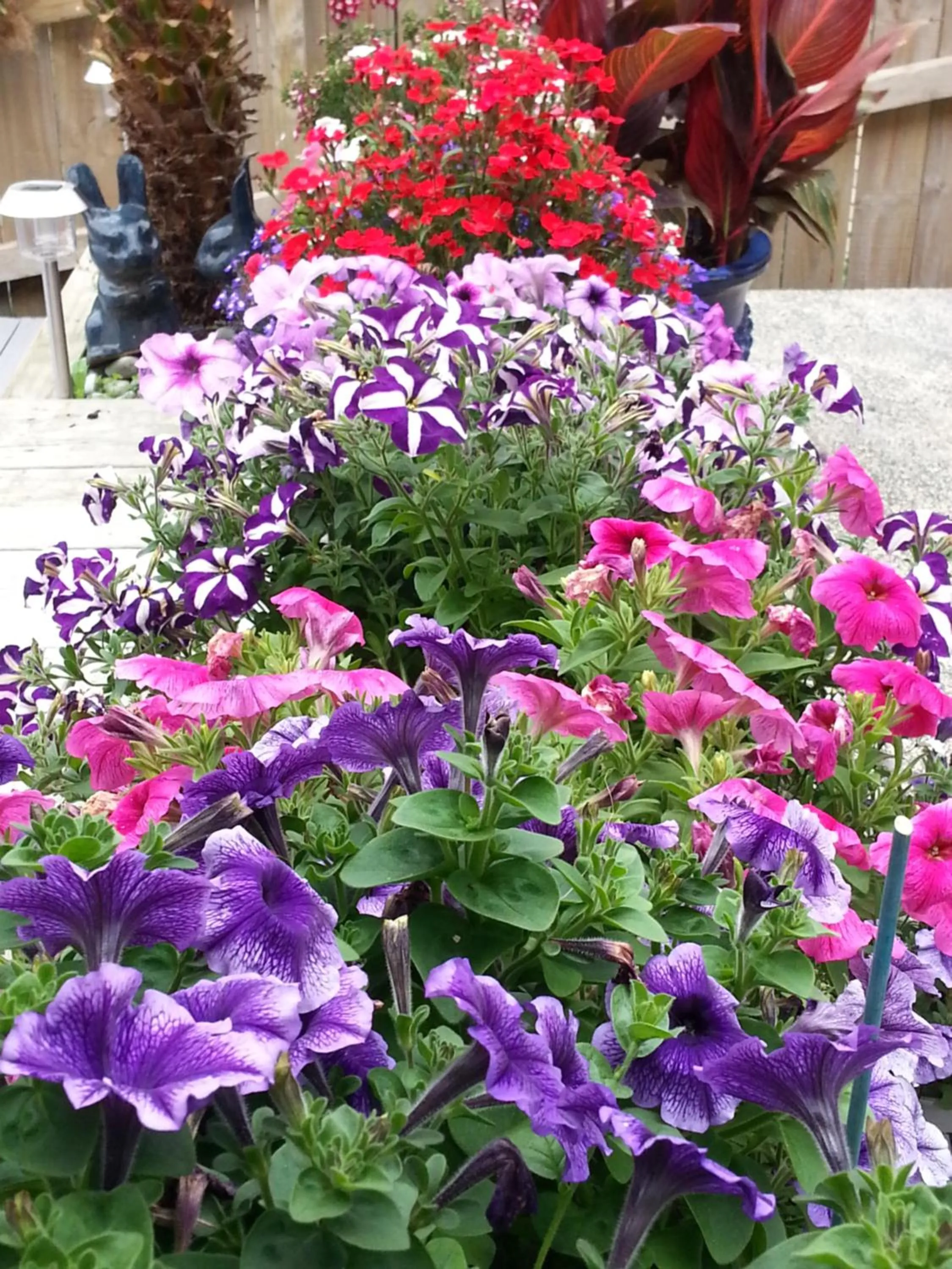 Property building in Lush & Co Auckland Bed & Breakfast