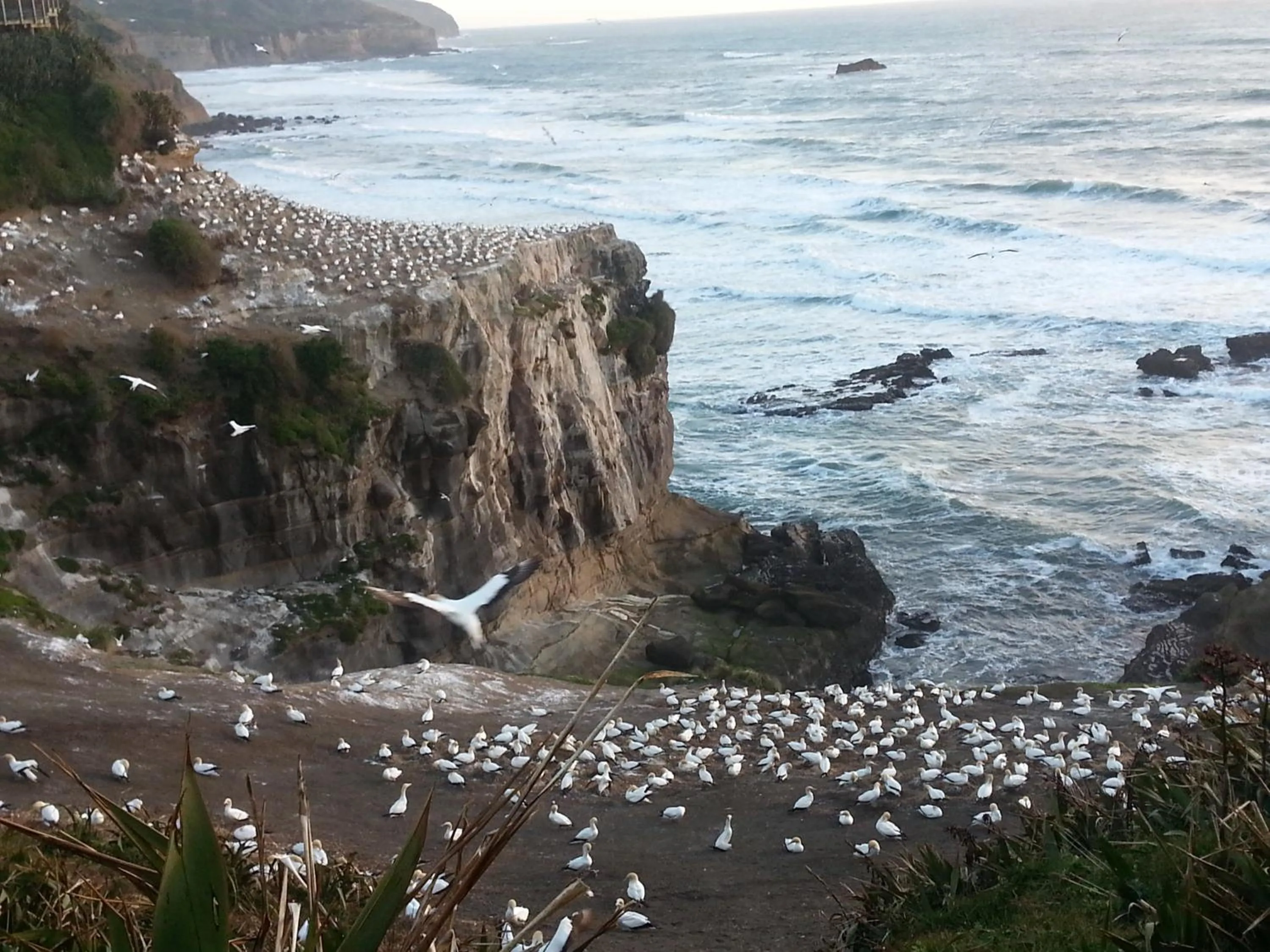 Nearby landmark in Lush & Co Auckland Bed & Breakfast