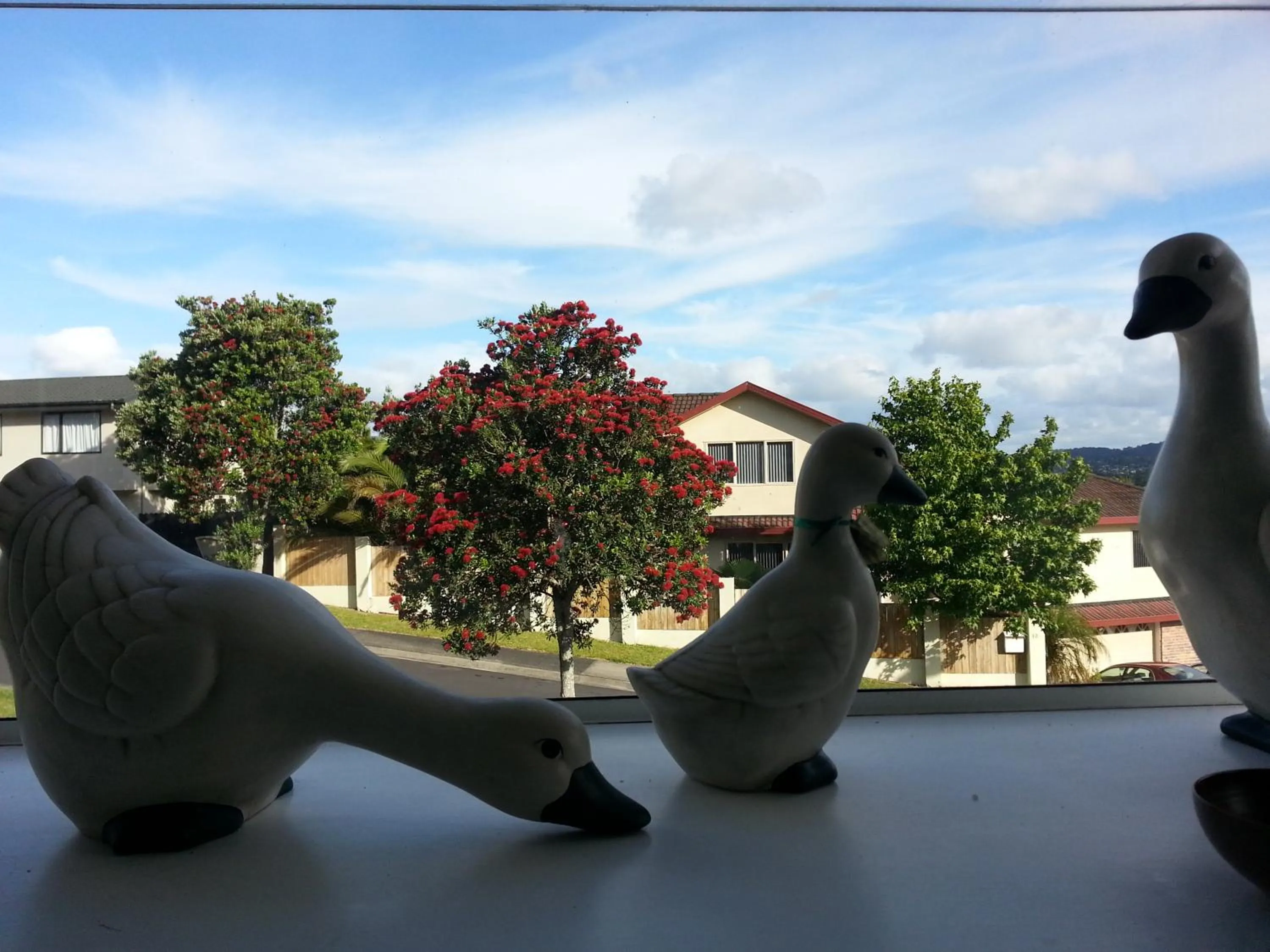 Property building in Lush & Co Auckland Bed & Breakfast