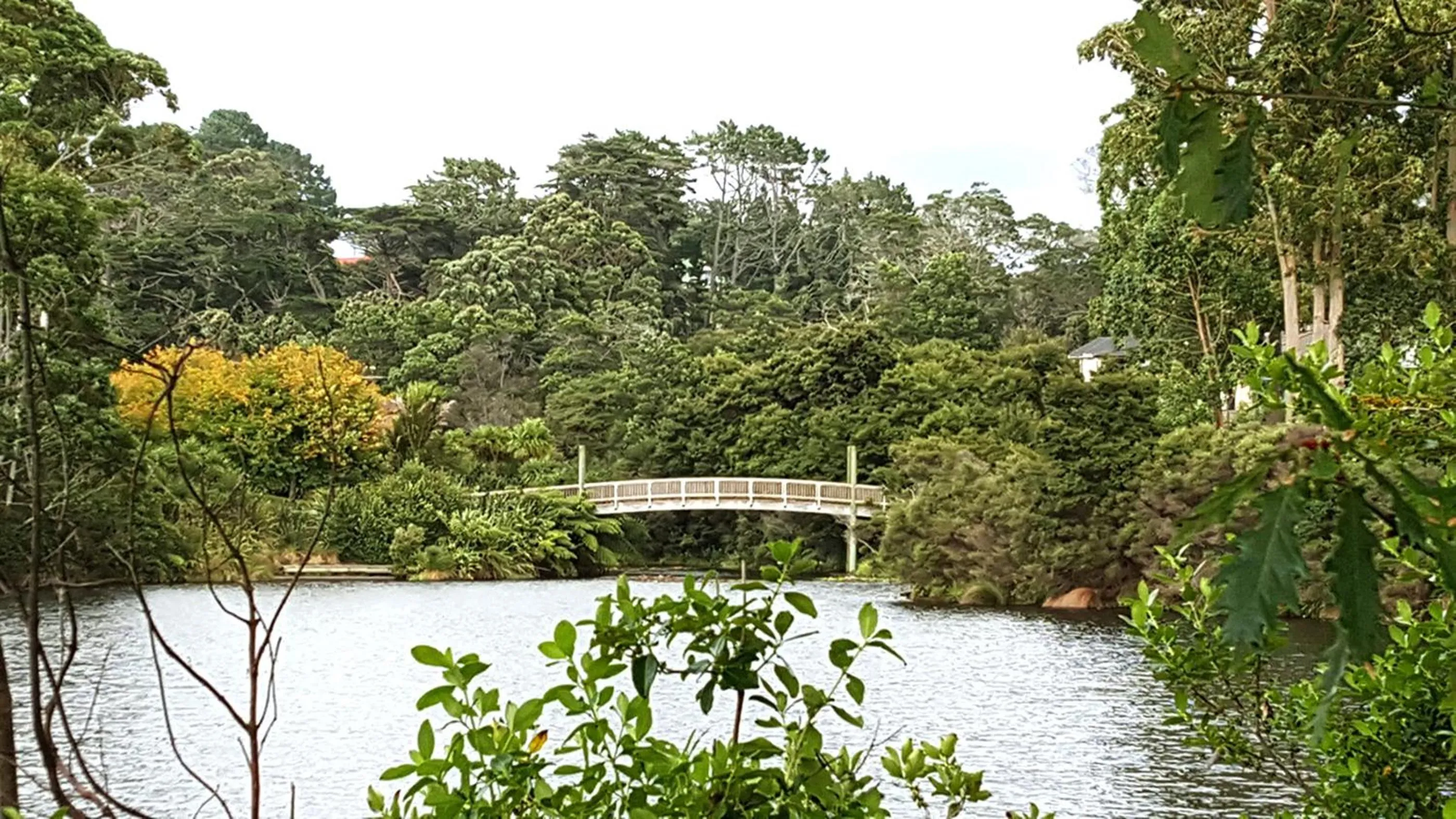 Neighbourhood in Lush & Co Auckland Bed & Breakfast