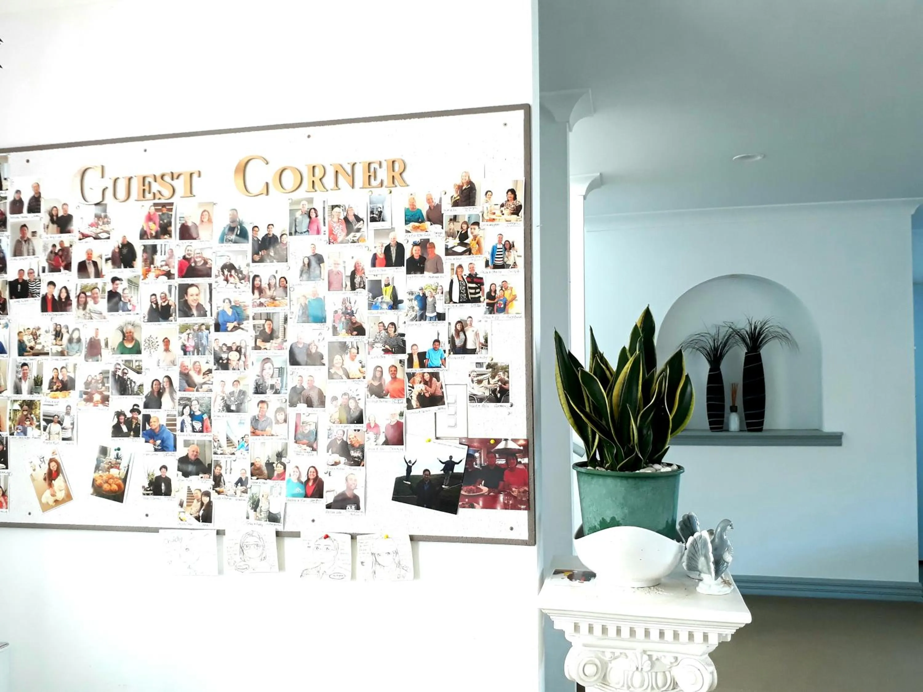 Activities in Lush & Co Auckland Bed & Breakfast