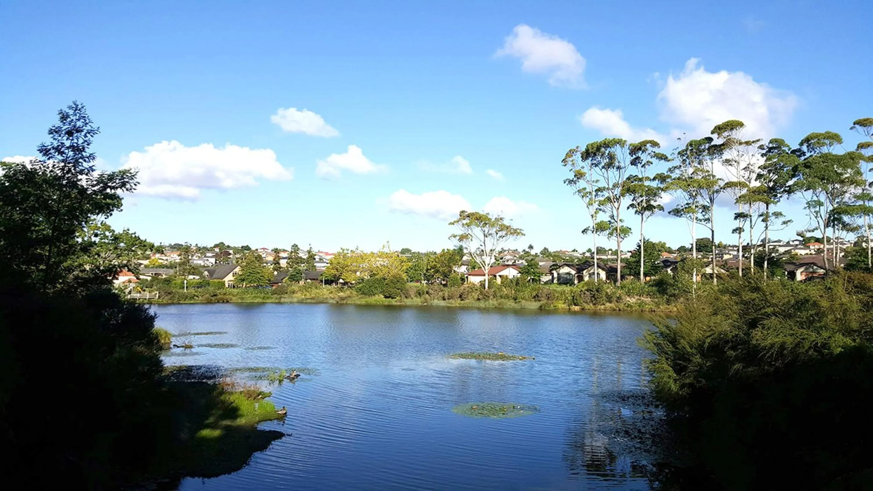 Off site in Lush & Co Auckland Bed & Breakfast