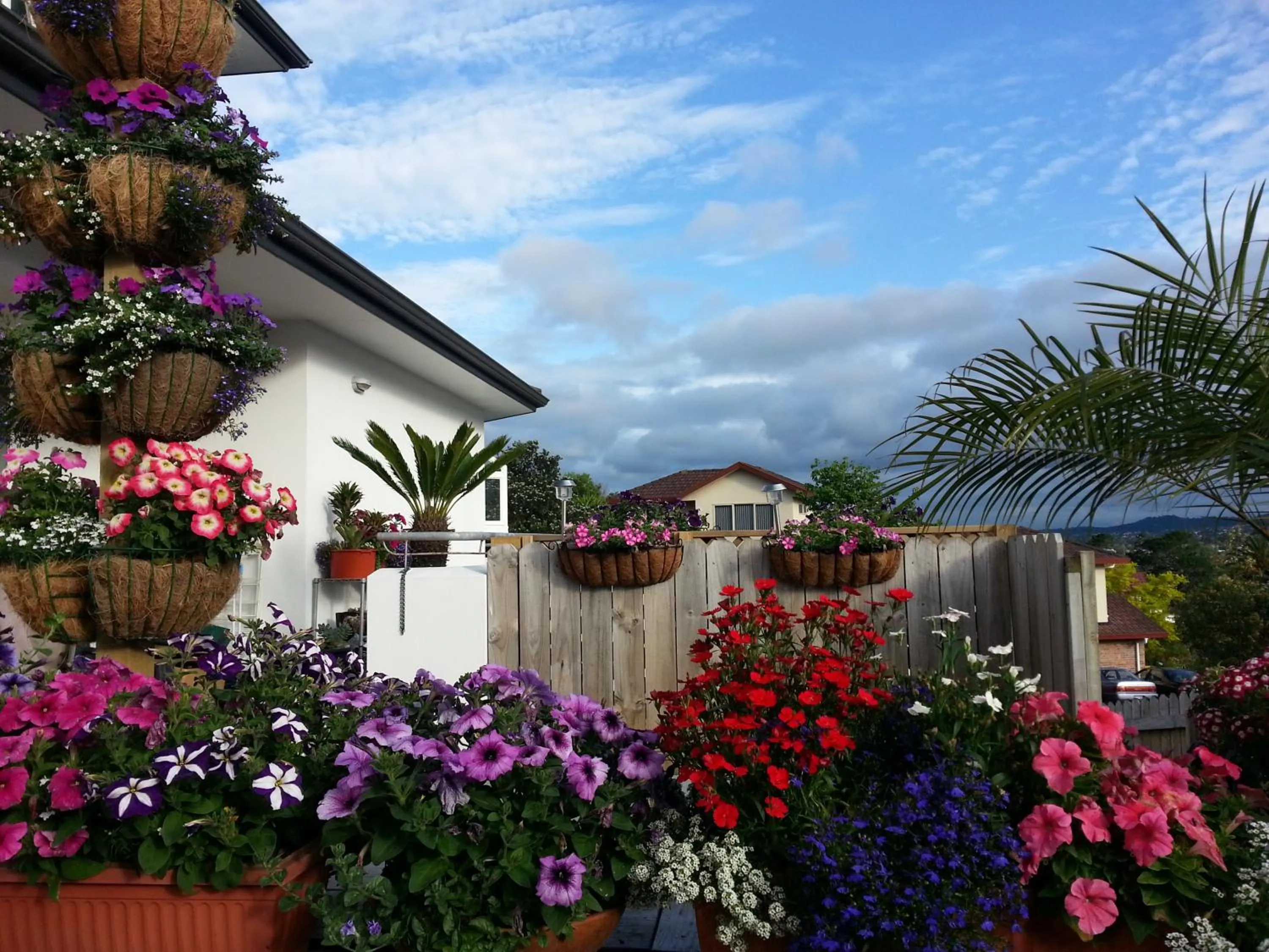 Property building in Lush & Co Auckland Bed & Breakfast