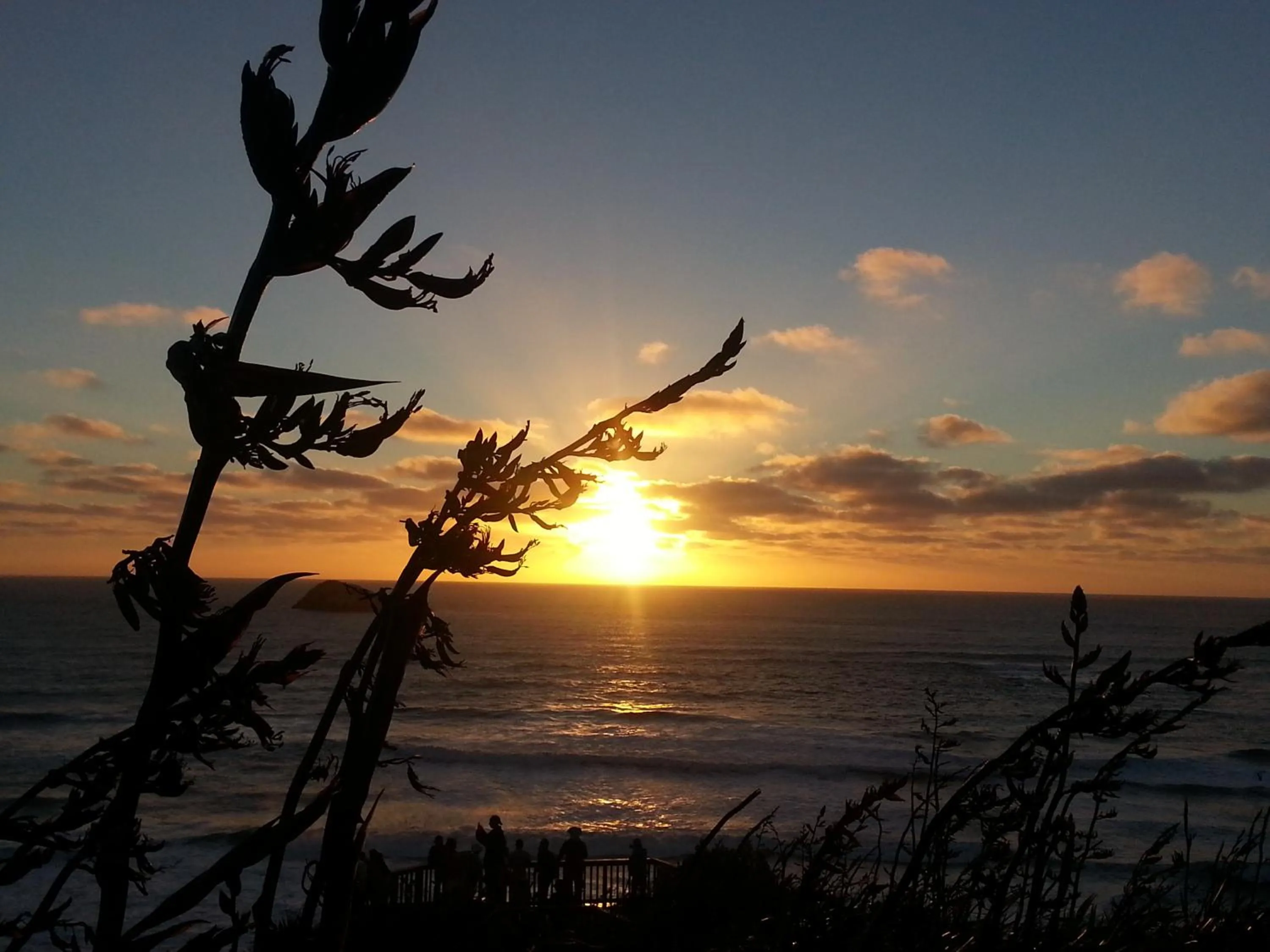 Summer in Lush & Co Auckland Bed & Breakfast