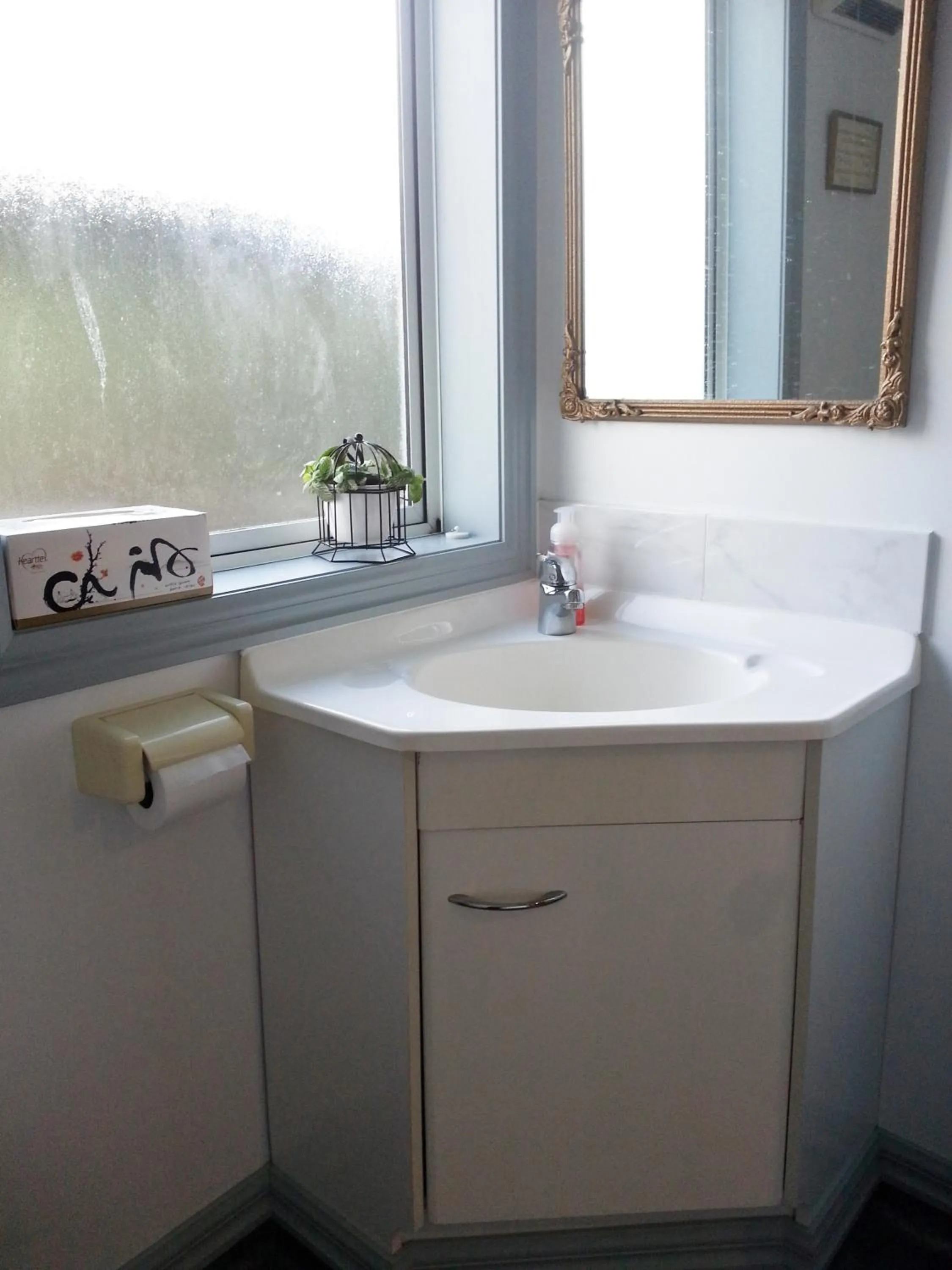 Toilet in Lush & Co Auckland Bed & Breakfast