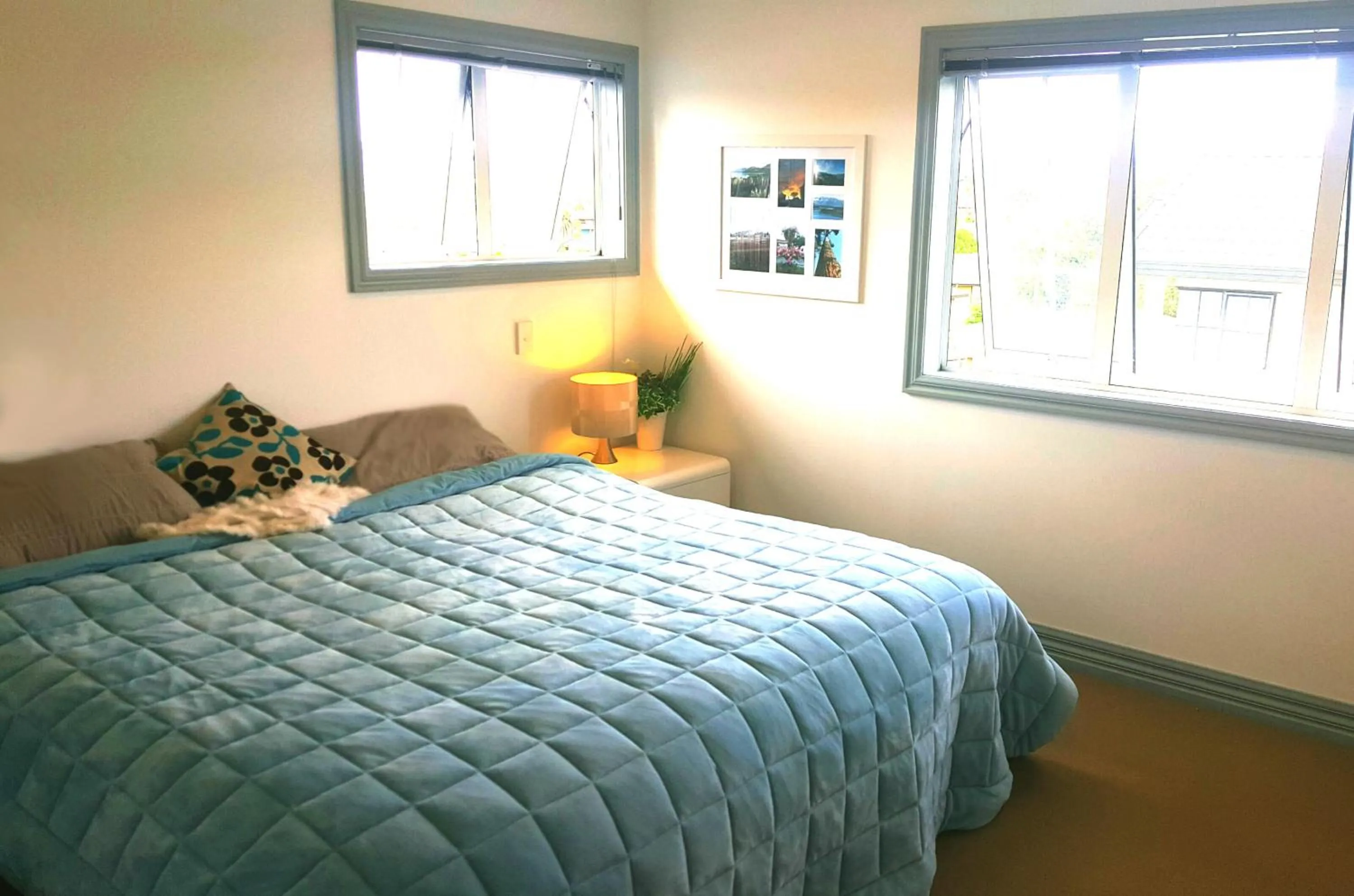 Photo of the whole room, Bed in Lush & Co Auckland Bed & Breakfast