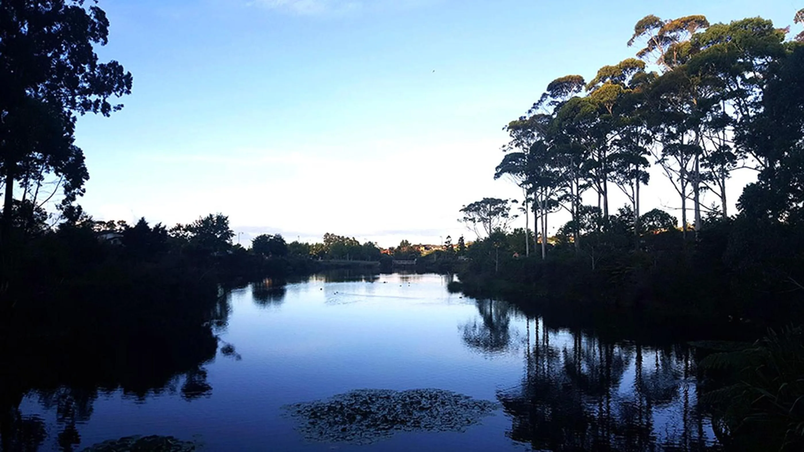 Neighbourhood in Lush & Co Auckland Bed & Breakfast