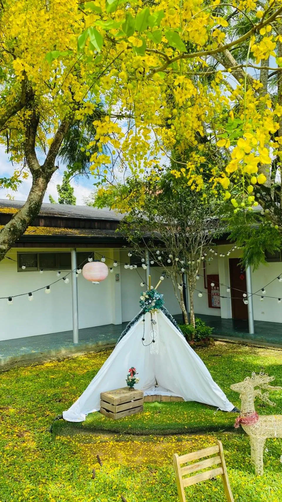 Garden in NCNU Campus Inn暨大行旅