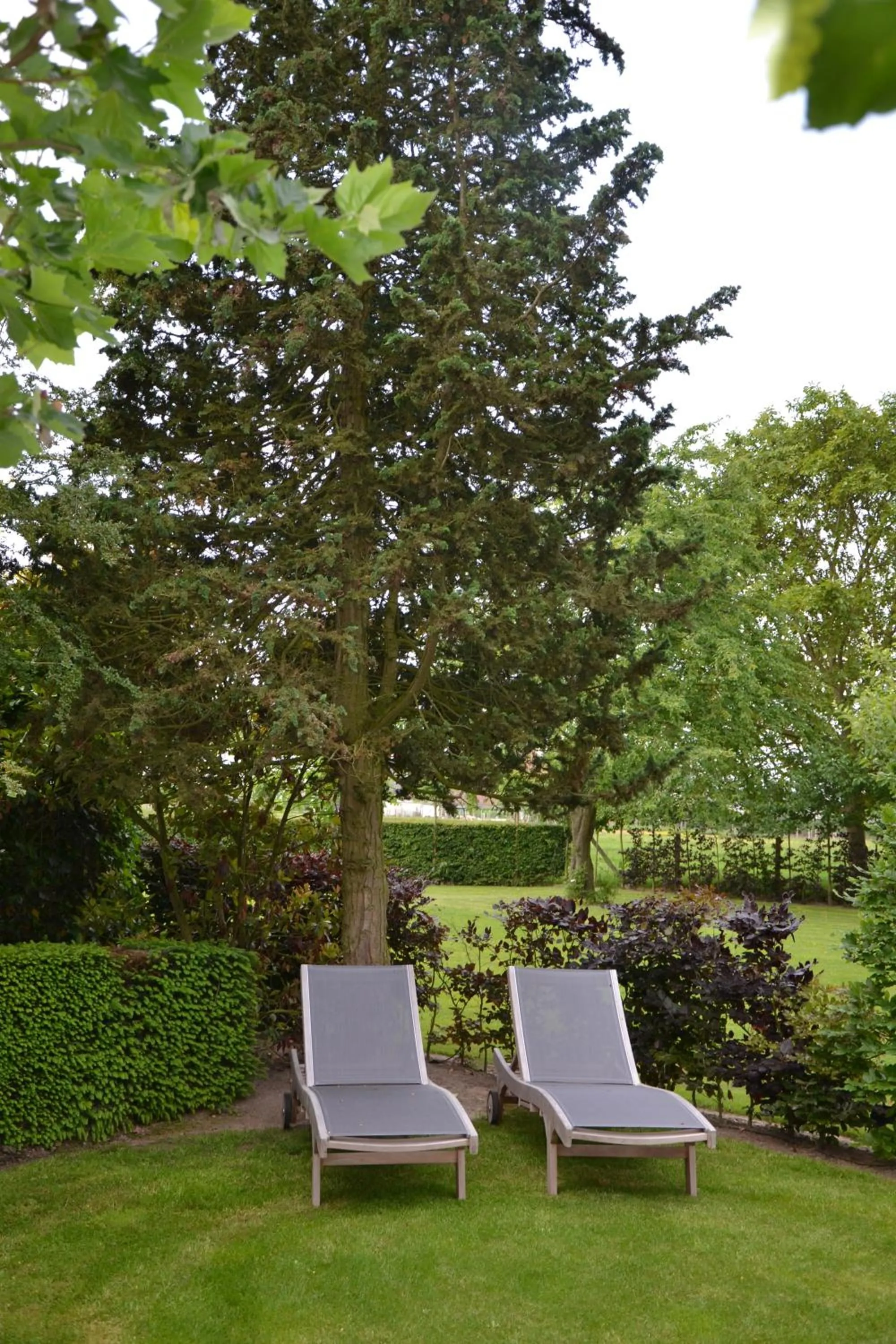 Garden in B&B Hof te Spieringen