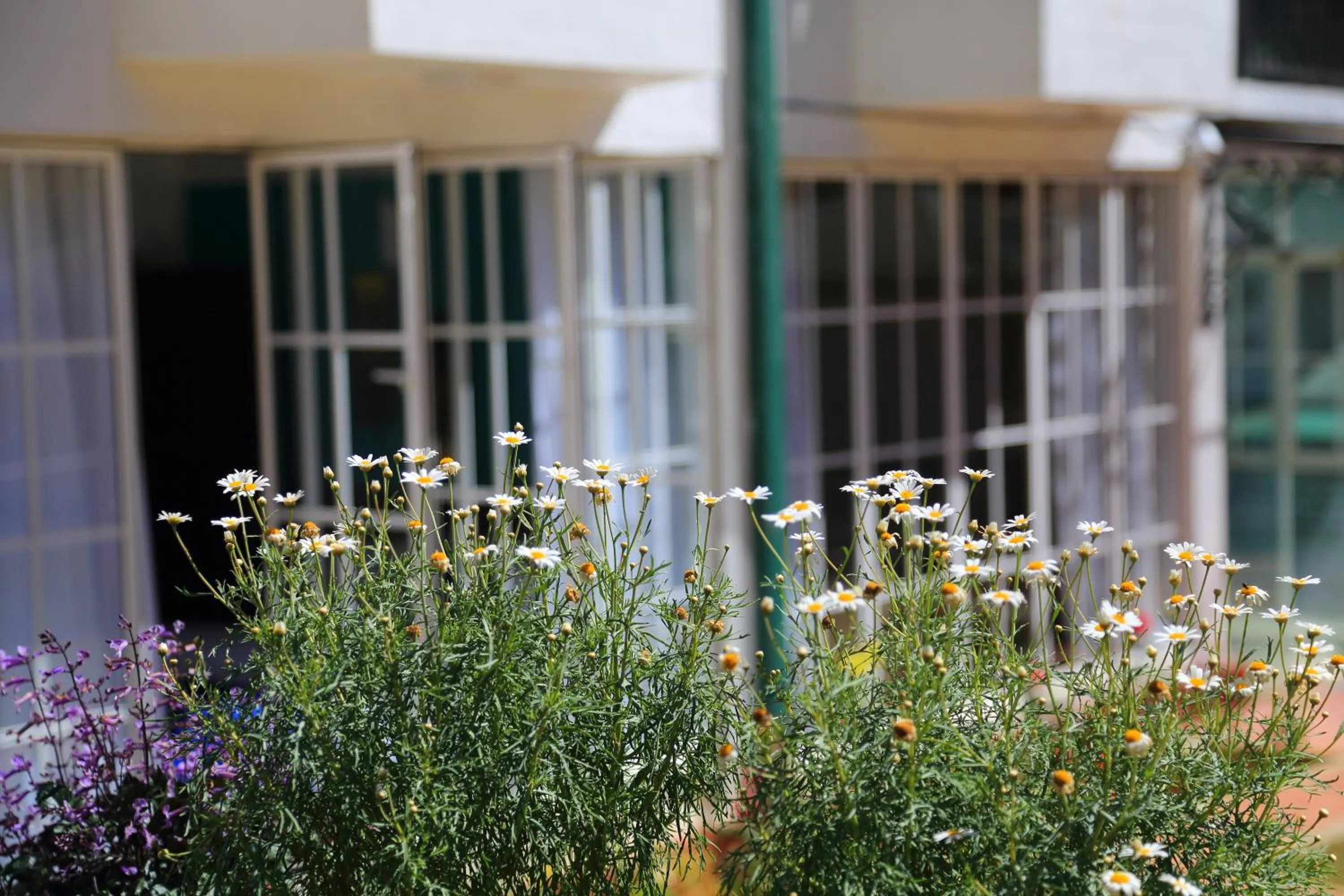 Seasons in Lemas Holiday Bungalow