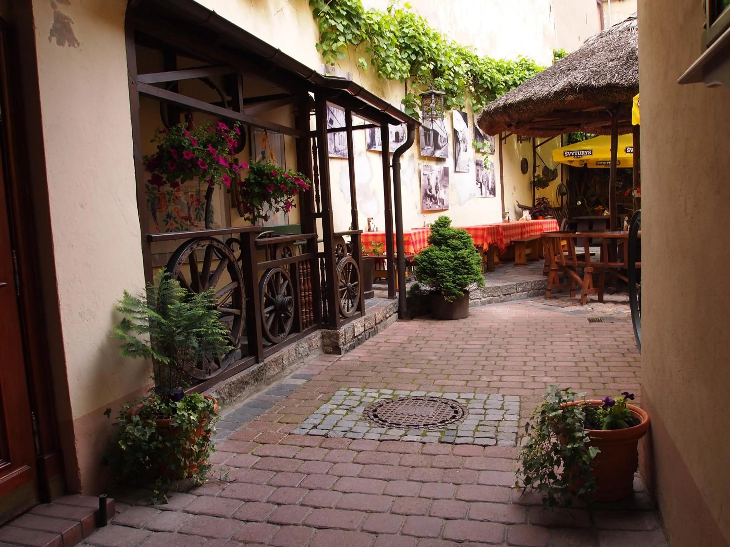 Balcony/Terrace in Gabi B&B