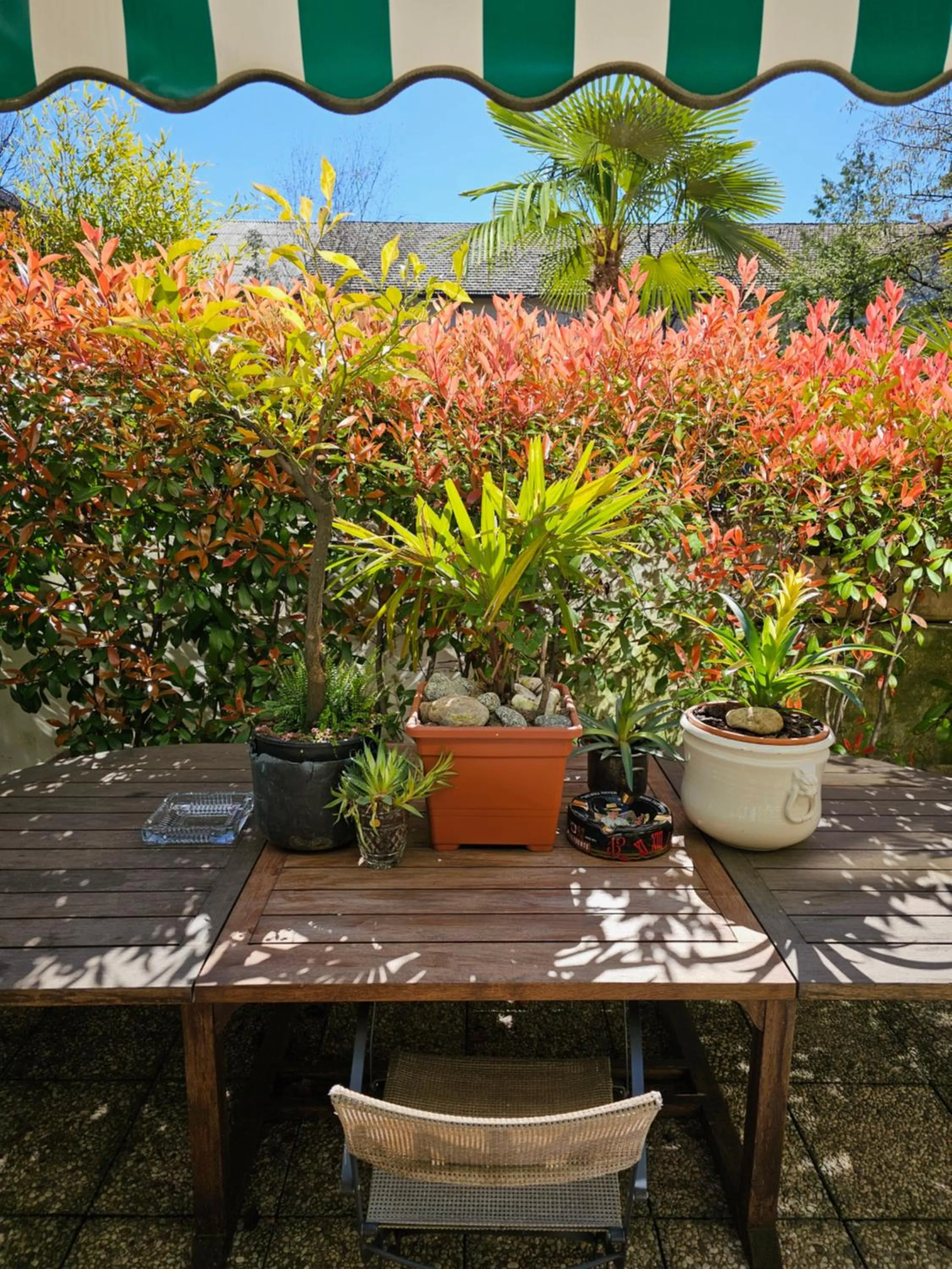 Victoria Royal Garden