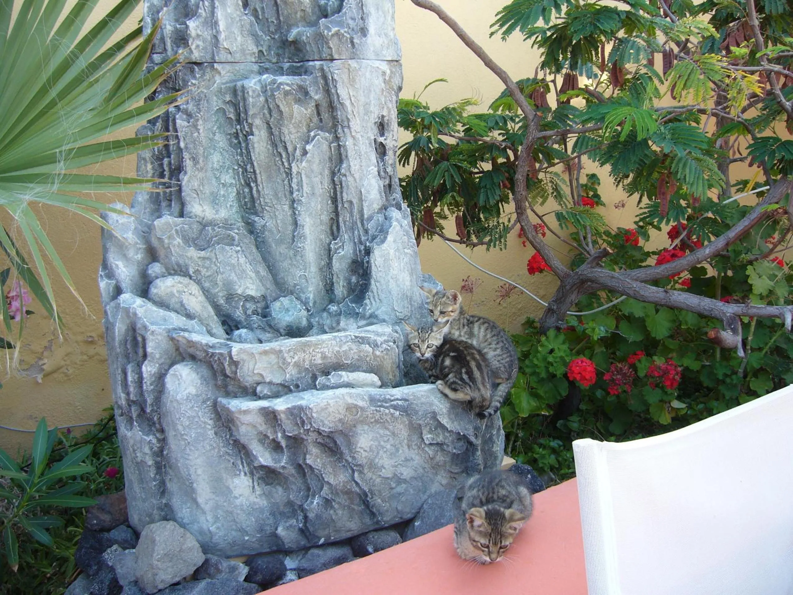 Other in Soulis Hotel