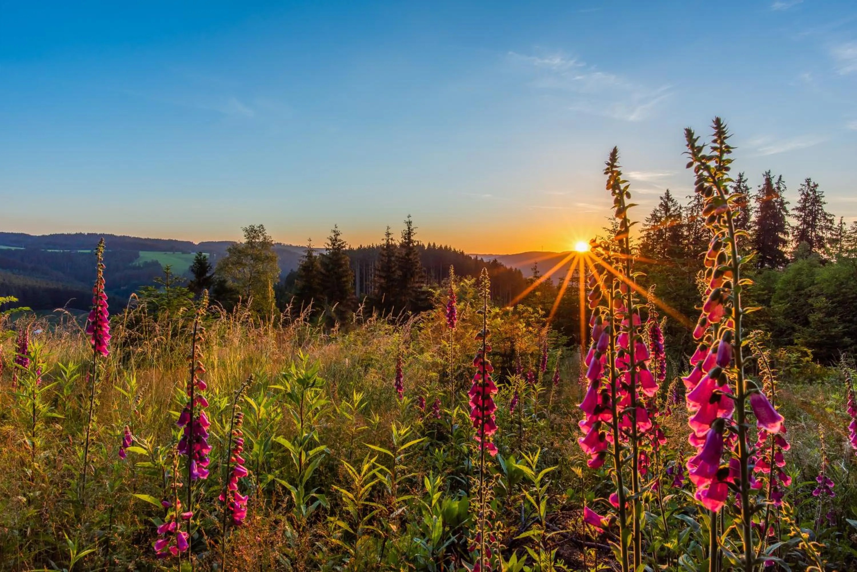 Off site in Höhengasthaus Kolmenhof an der Donauquelle