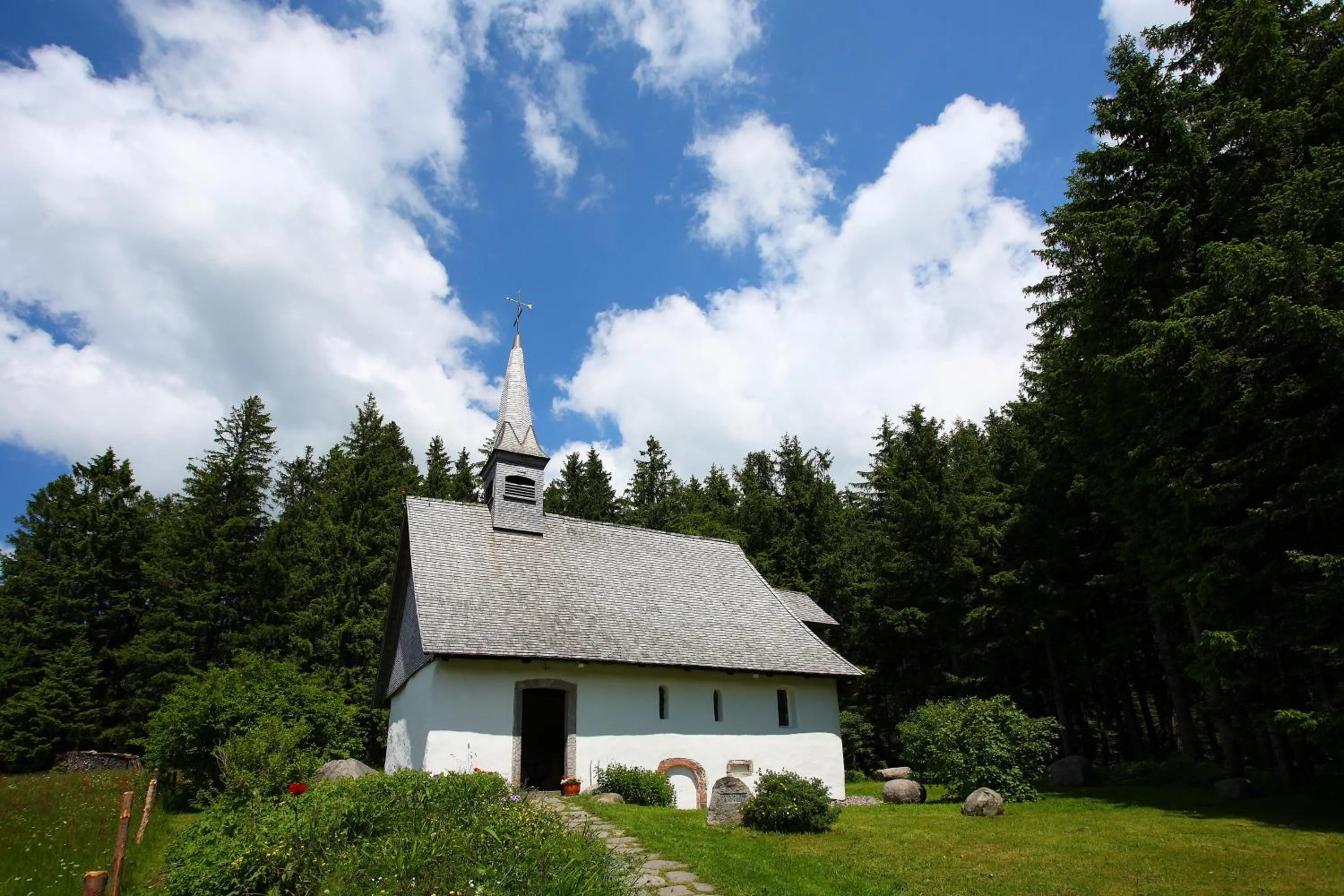 View (from property/room) in Höhengasthaus Kolmenhof an der Donauquelle