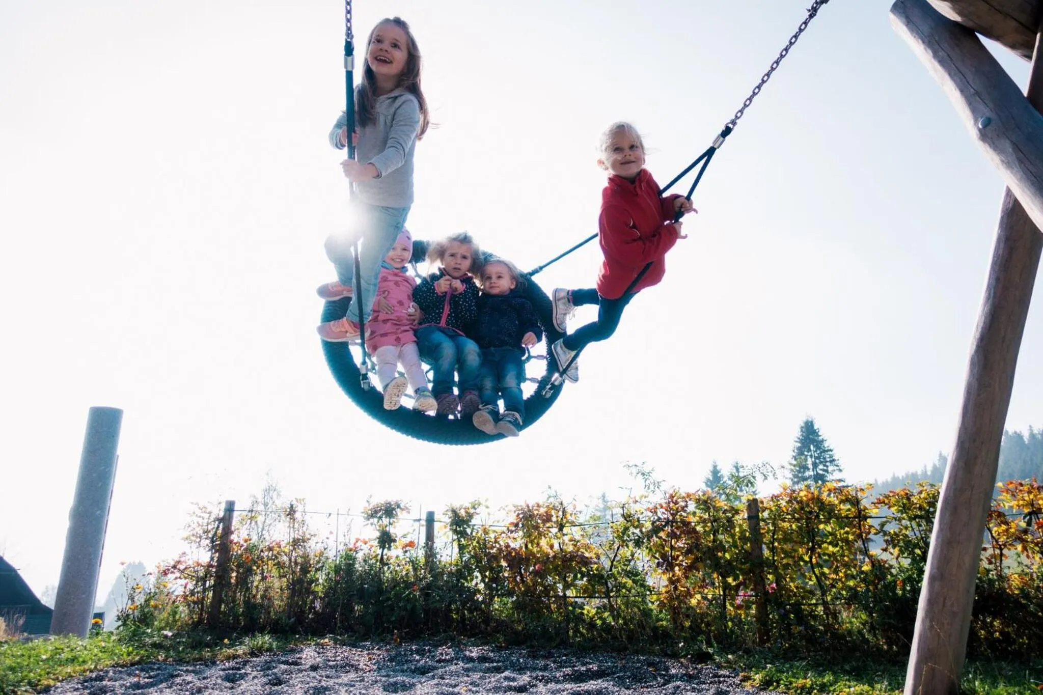Other in Höhengasthaus Kolmenhof an der Donauquelle