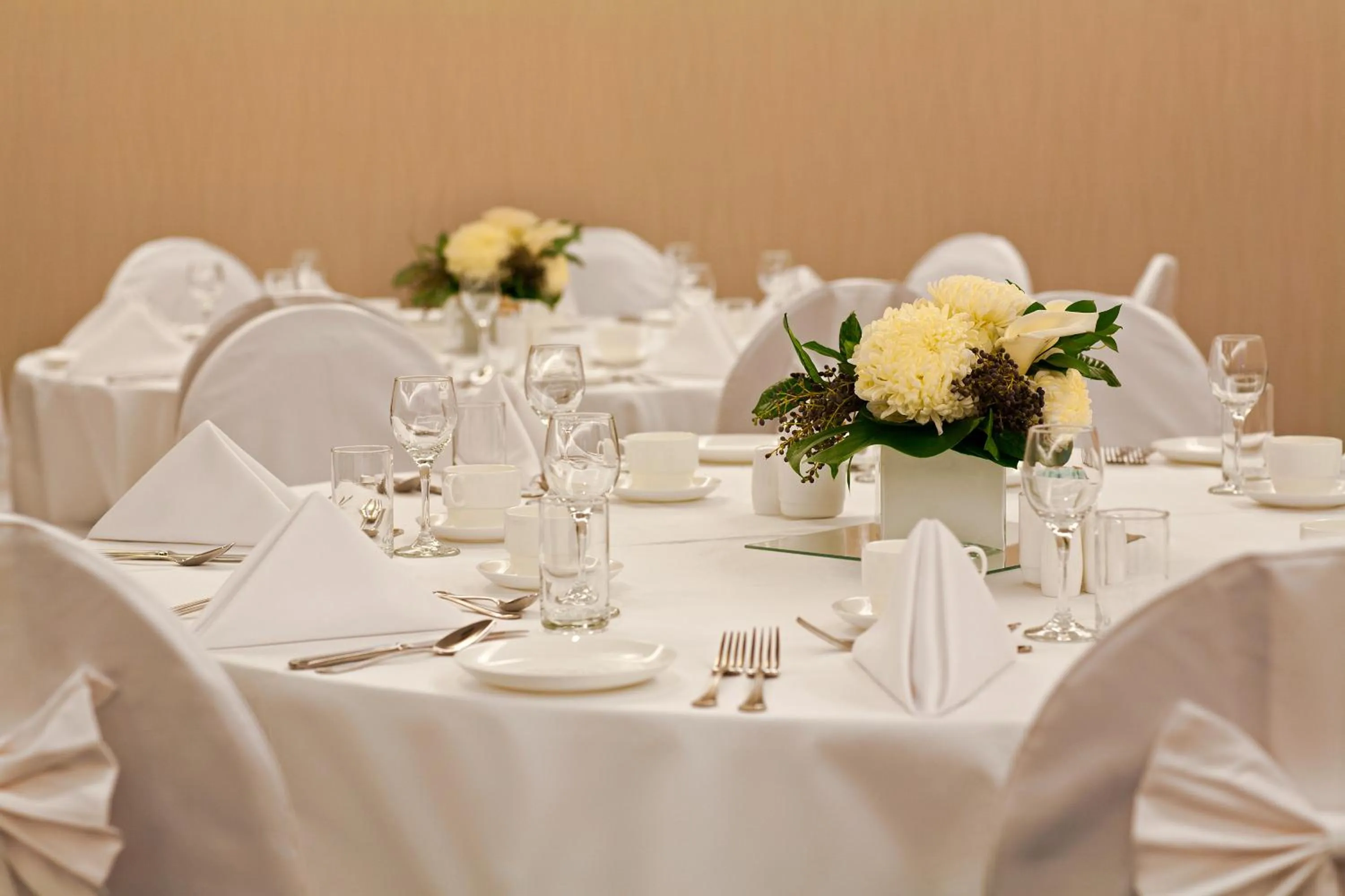 Banquet/Function facilities in Novotel Toronto Vaughan Centre