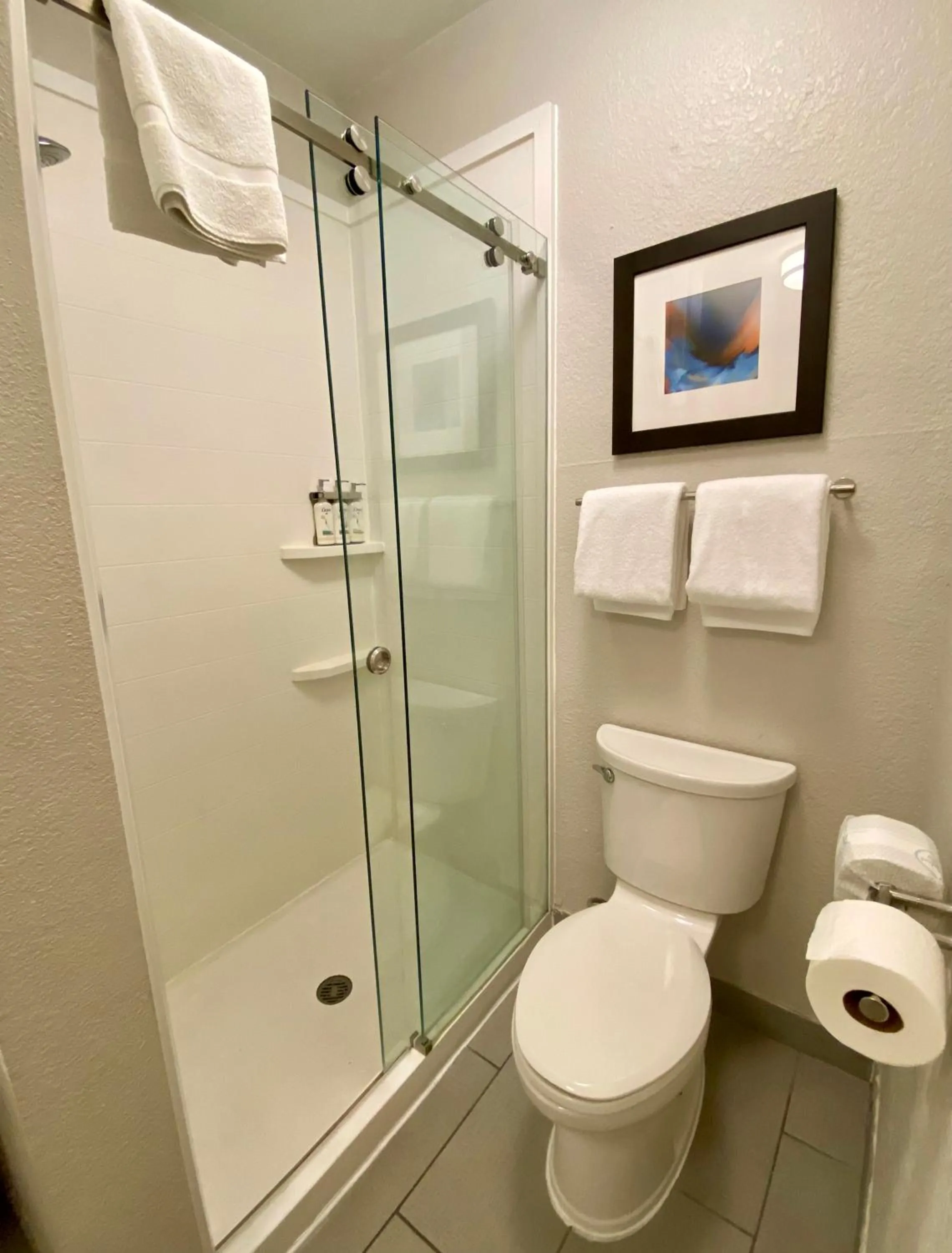 Shower in Holiday Inn Express Metropolis by IHG