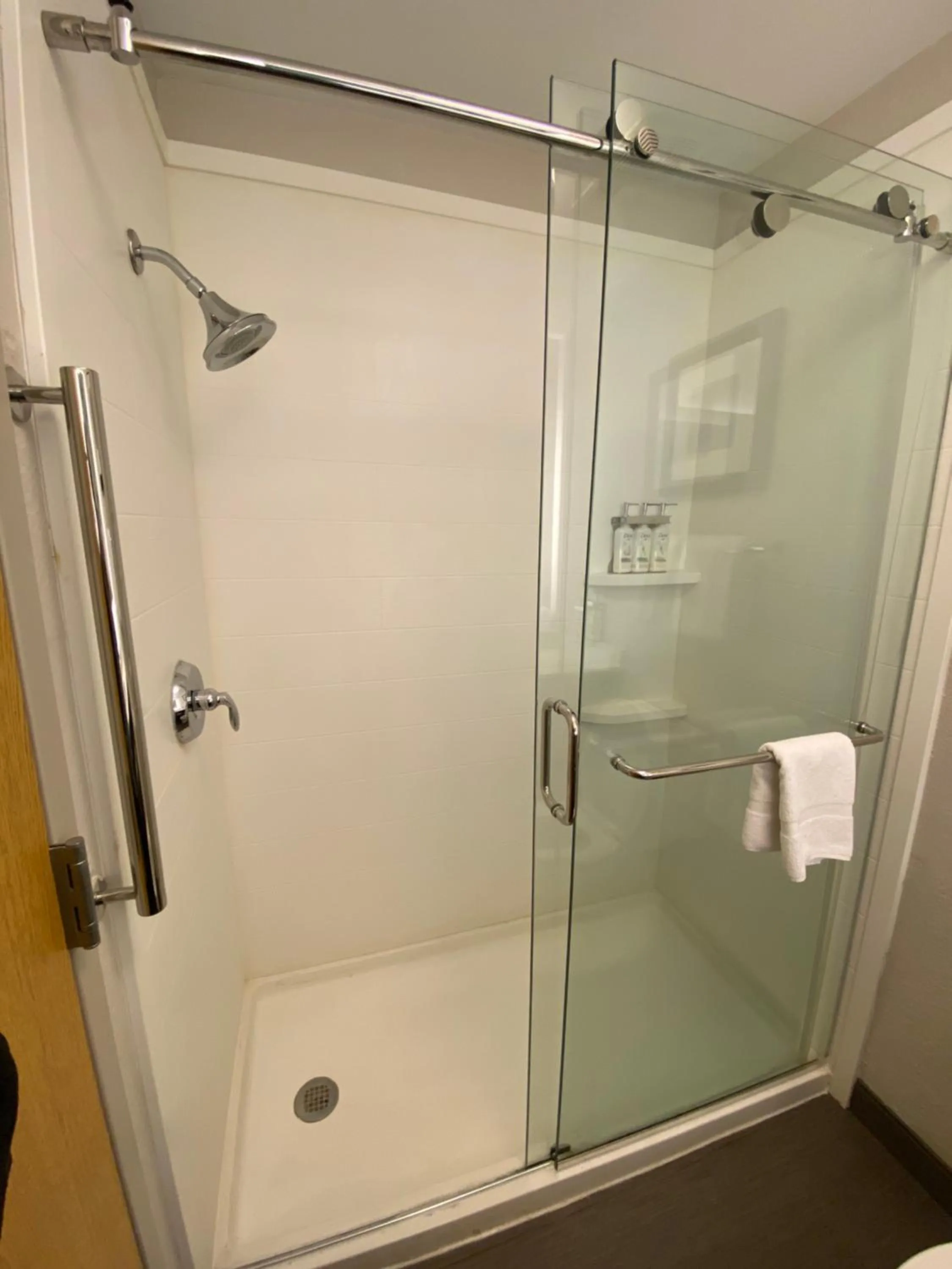 Shower in Holiday Inn Express Metropolis by IHG