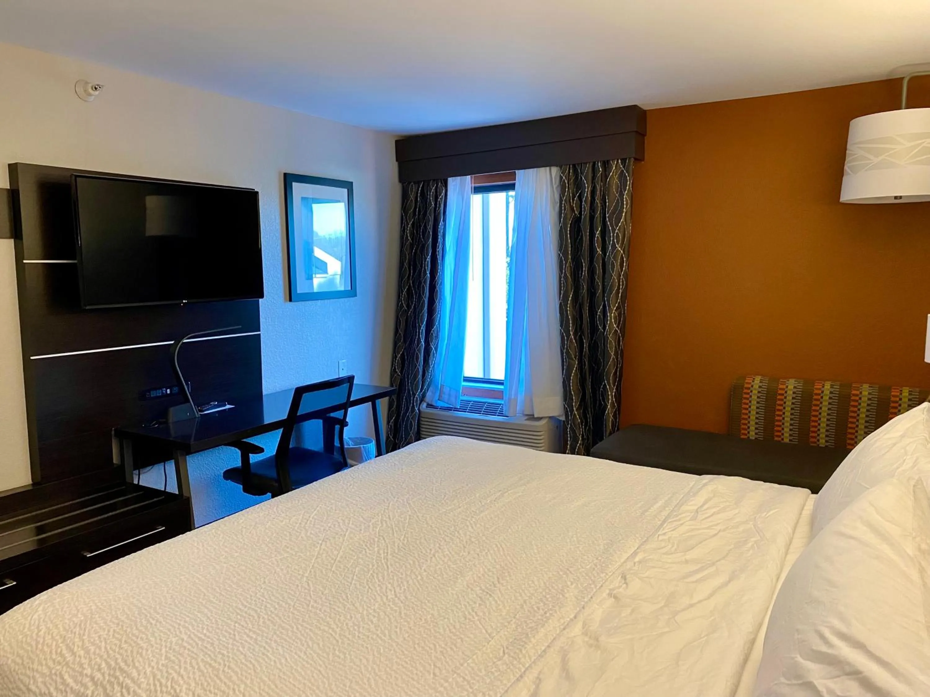 View (from property/room), Bed in Holiday Inn Express Metropolis by IHG