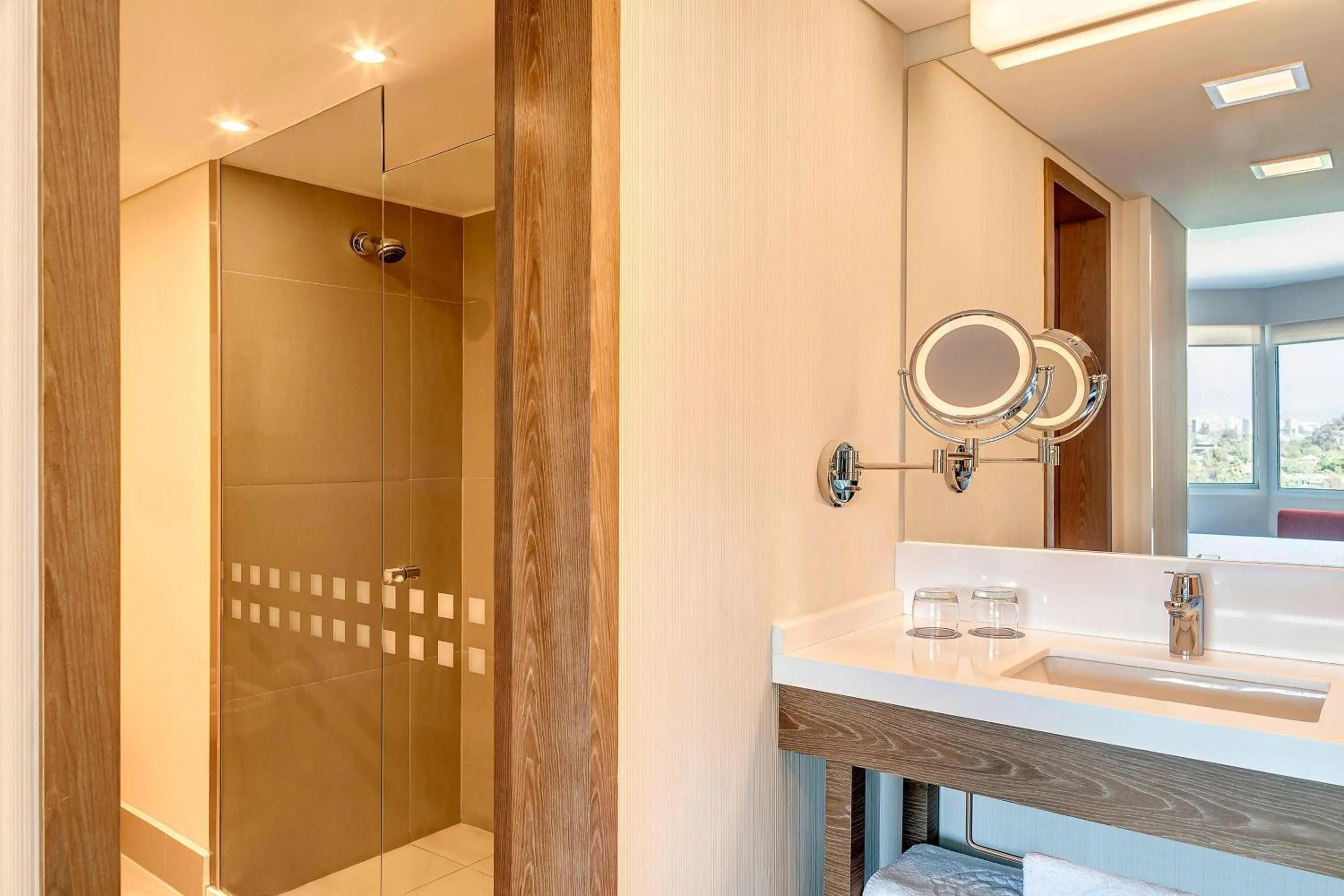 Bathroom in Sheraton Santiago Hotel & Convention Center