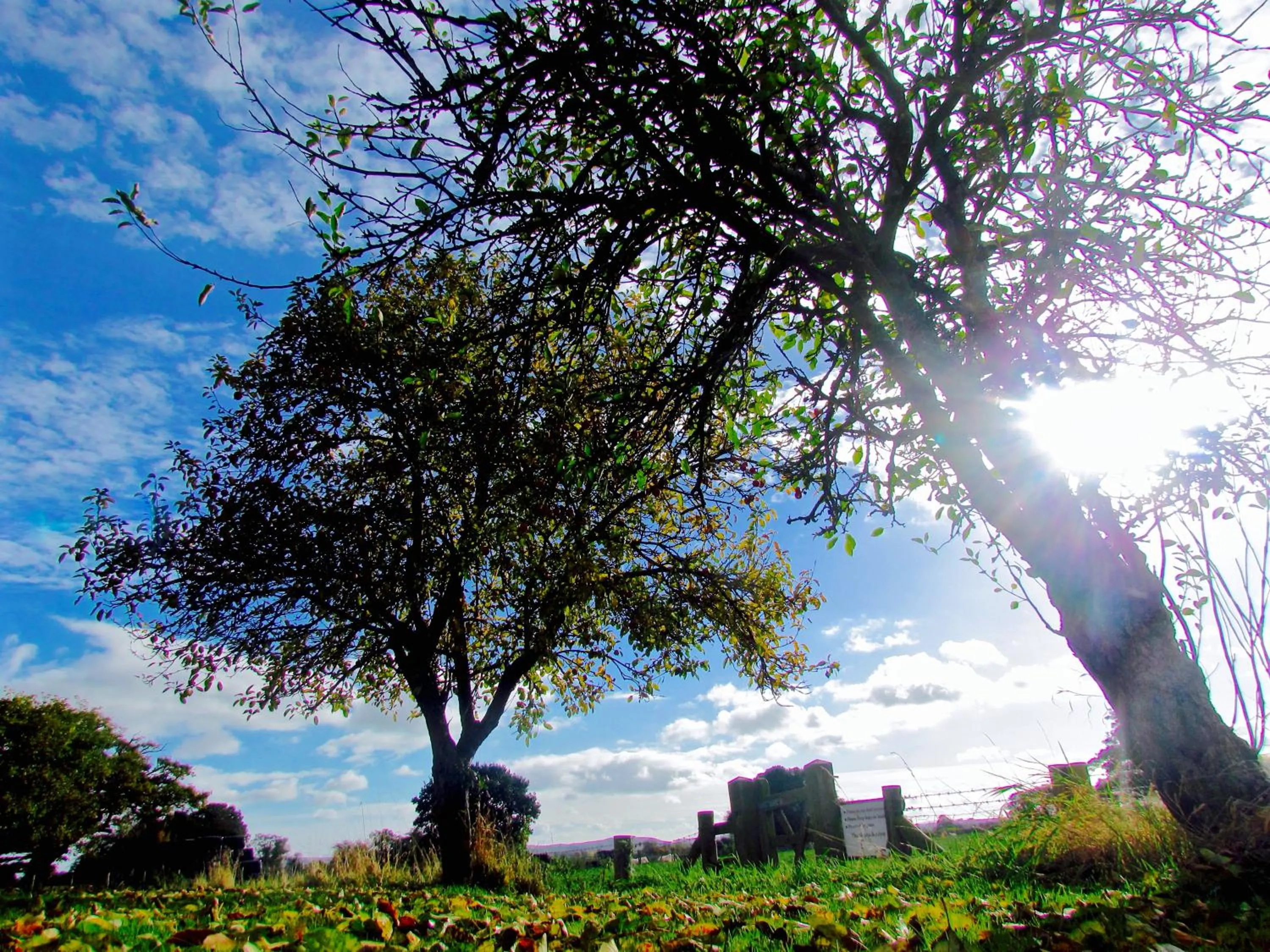 Other in The Moorhead Bed & Breakfast