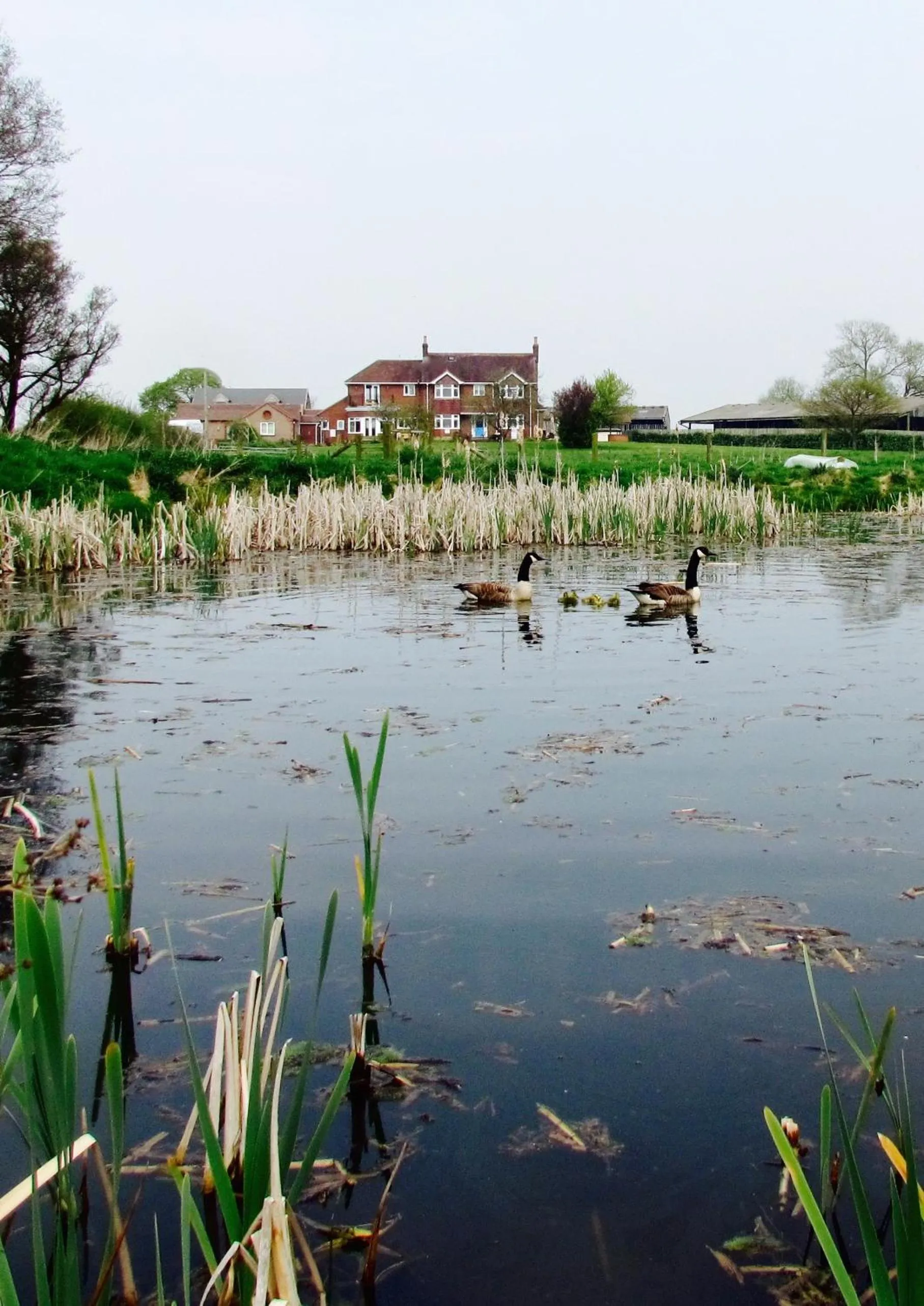 Property building in The Moorhead Bed & Breakfast