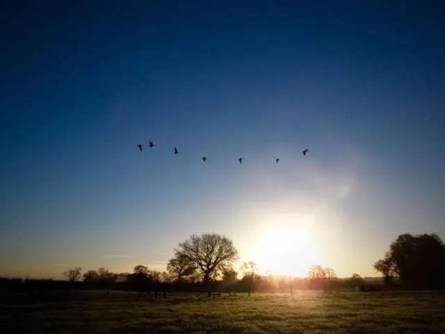 Natural landscape in The Moorhead Bed & Breakfast