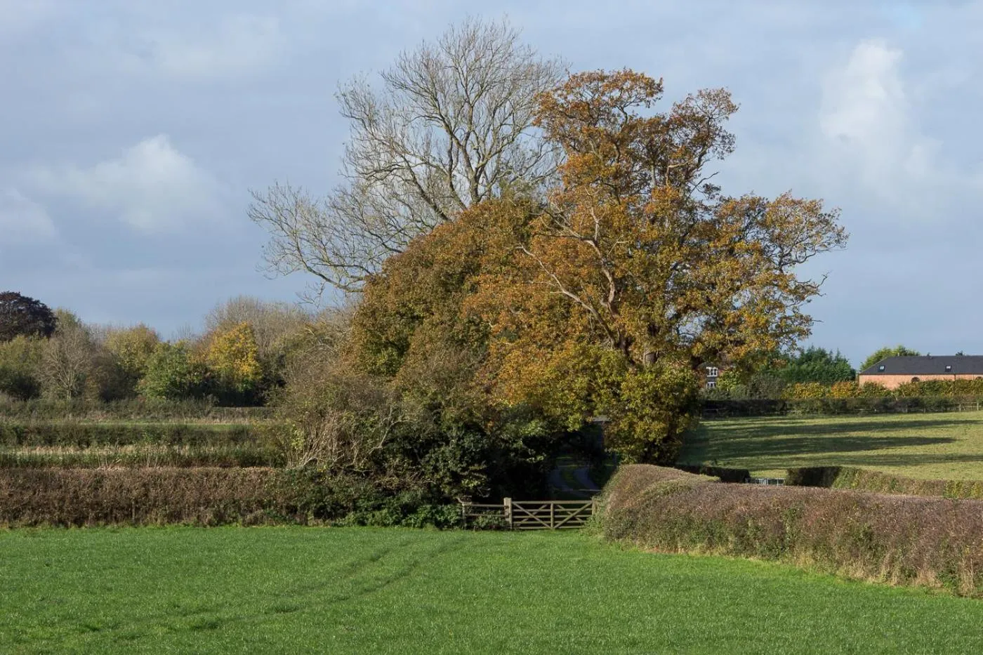The Moorhead Bed & Breakfast